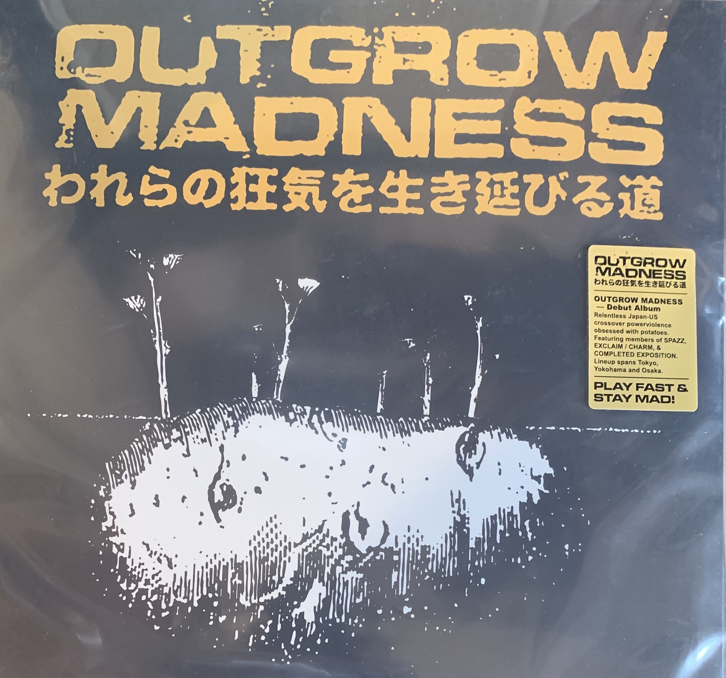 OUTGROW MADNESS - To Outgrow Our Madness LP