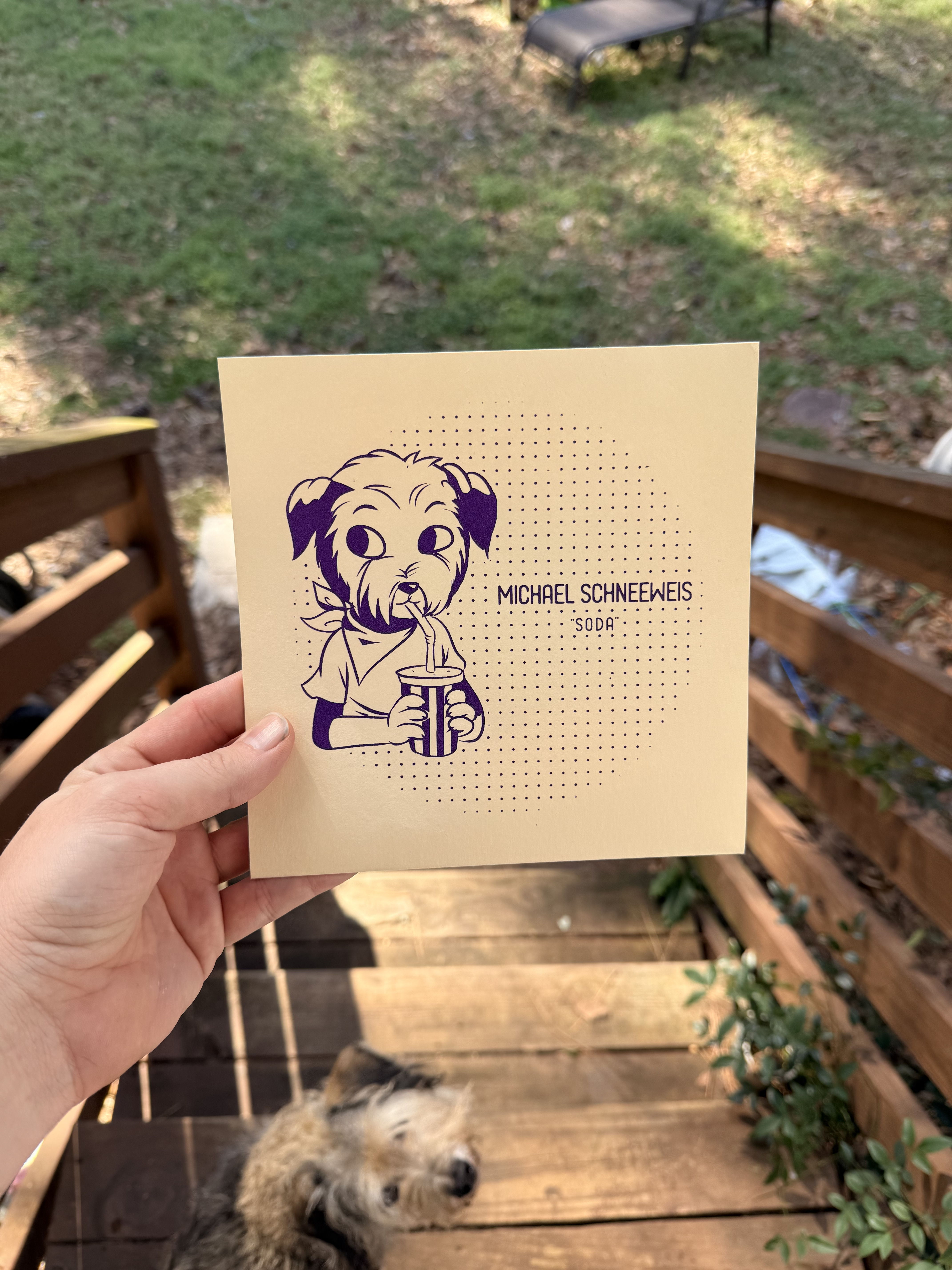 Michael Schneeweis - Soda 7