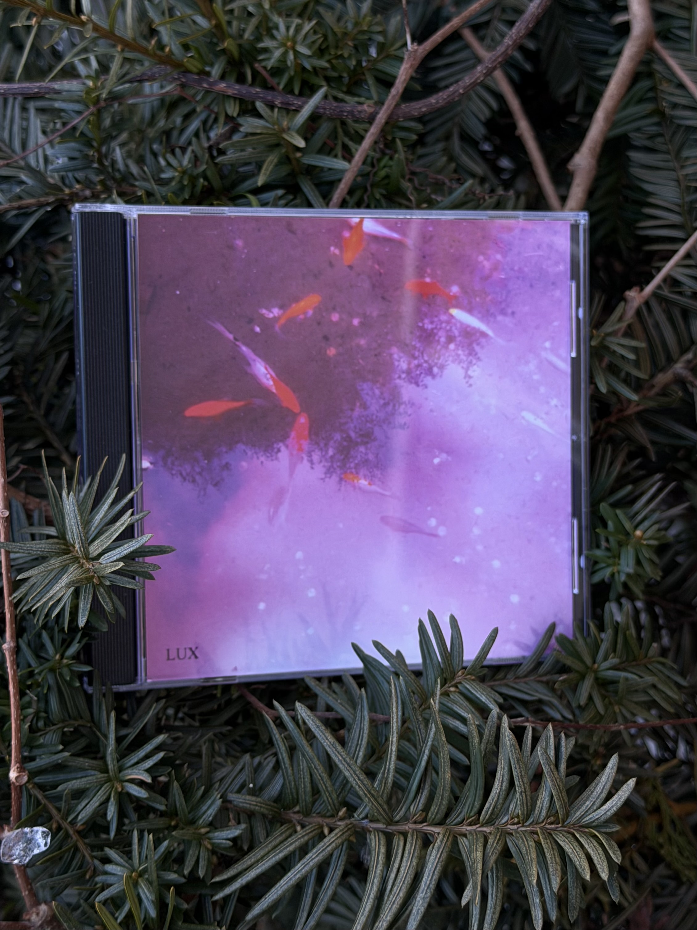 th91 Lux / Life Support