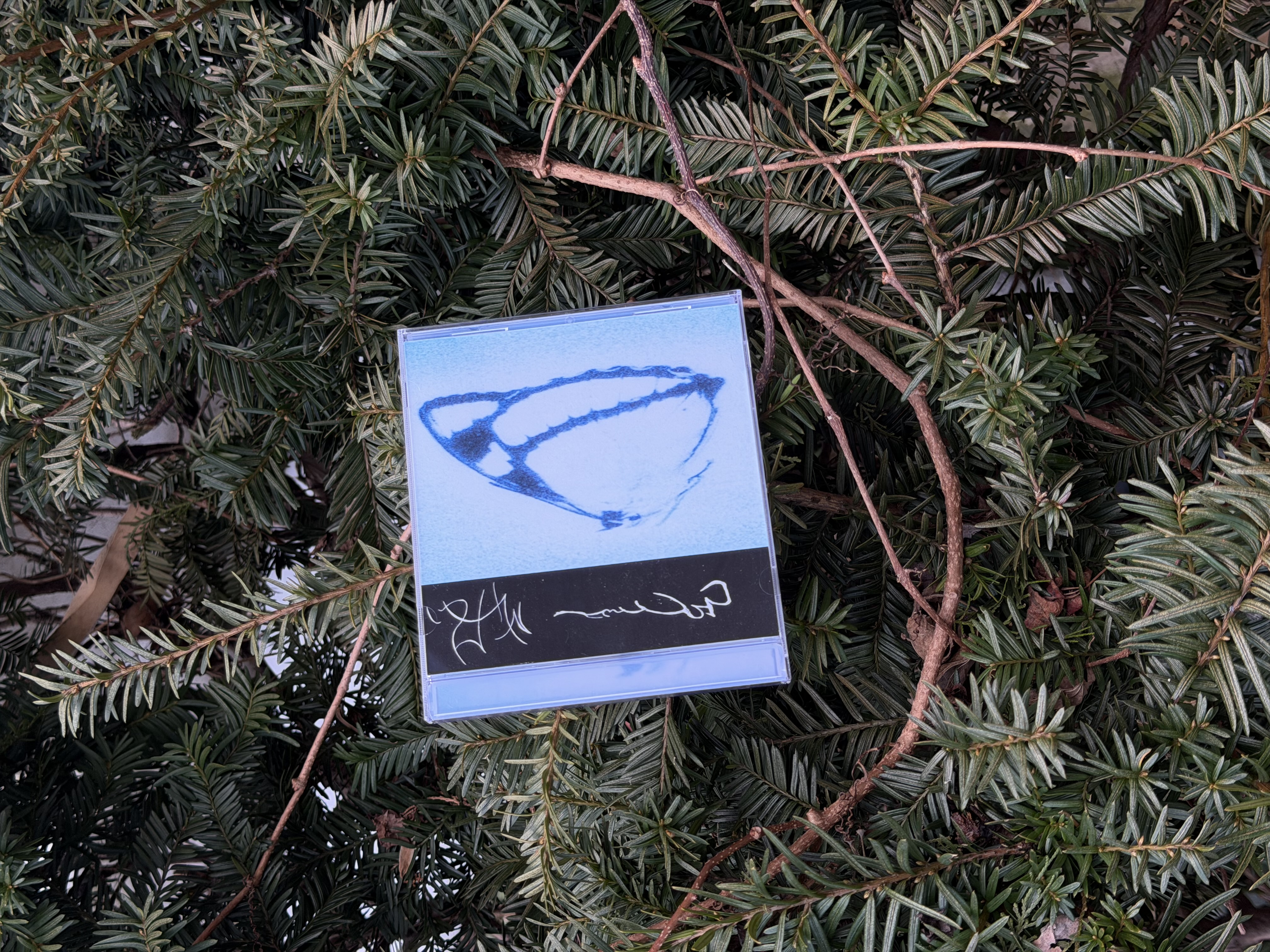 special edition INAGAPE opaque blue jewelcase