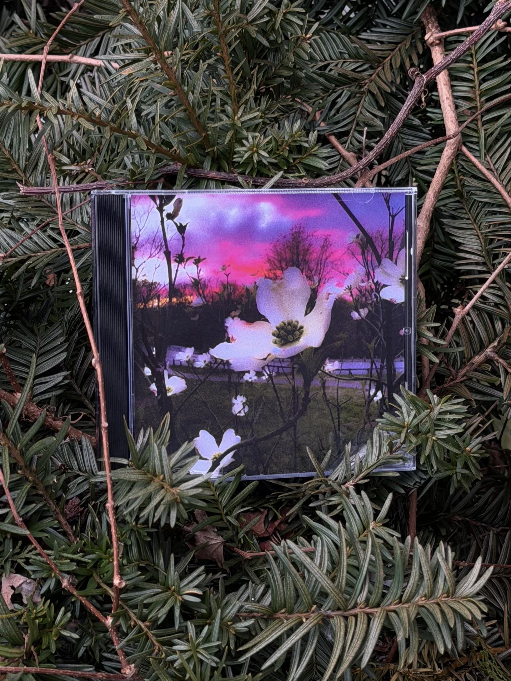 th94 Nostalgique / Special Secret Place