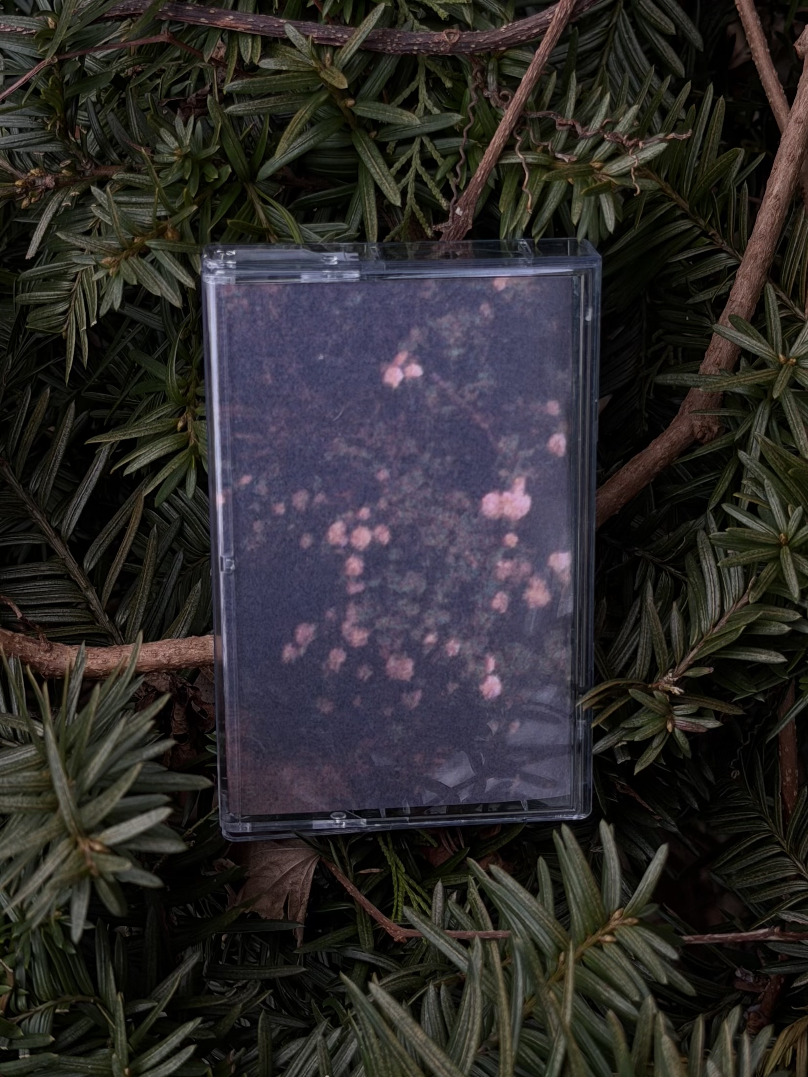 th90 Home is in your arms /