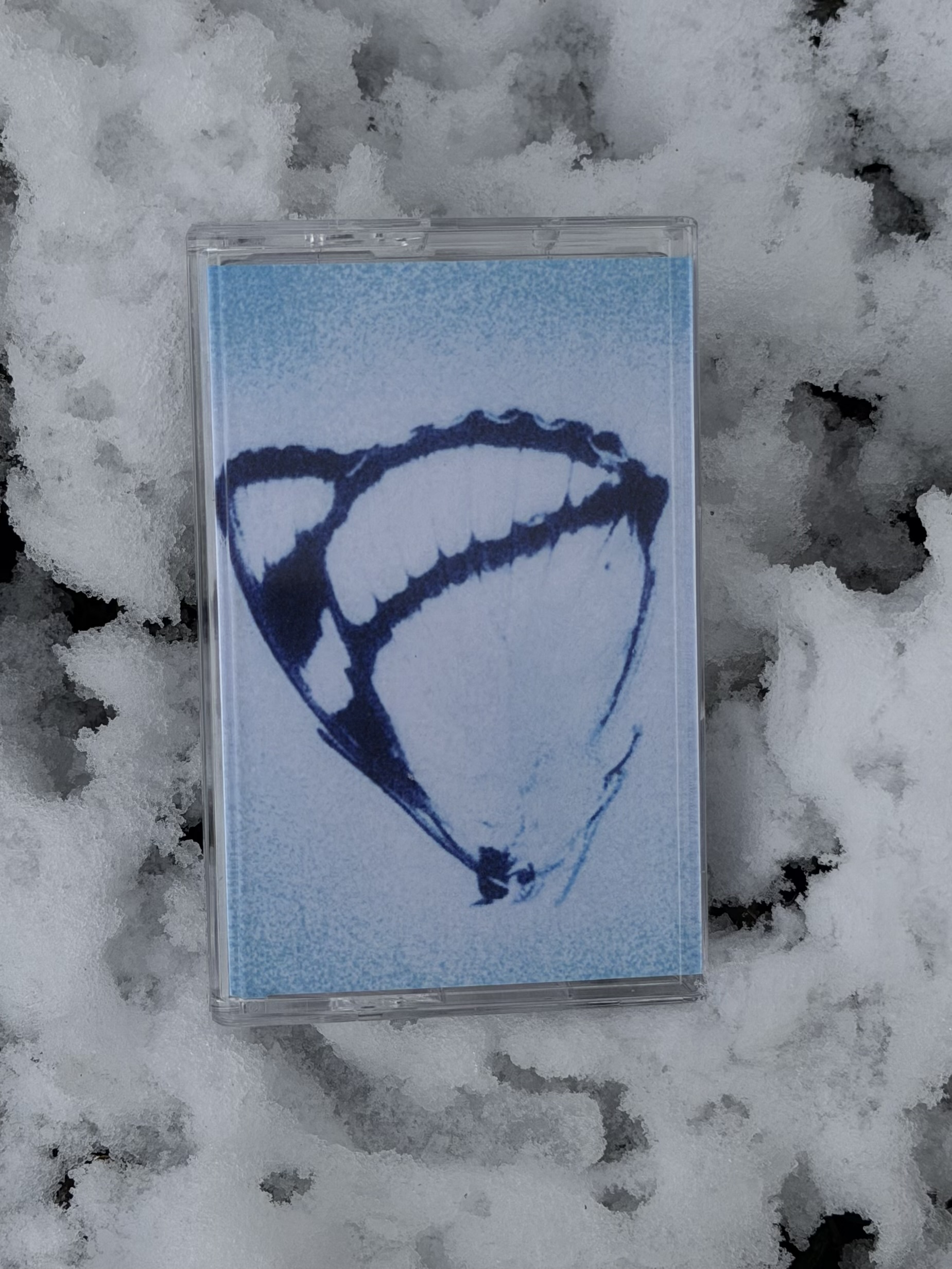 TRHÄ/ inagape (cassette)