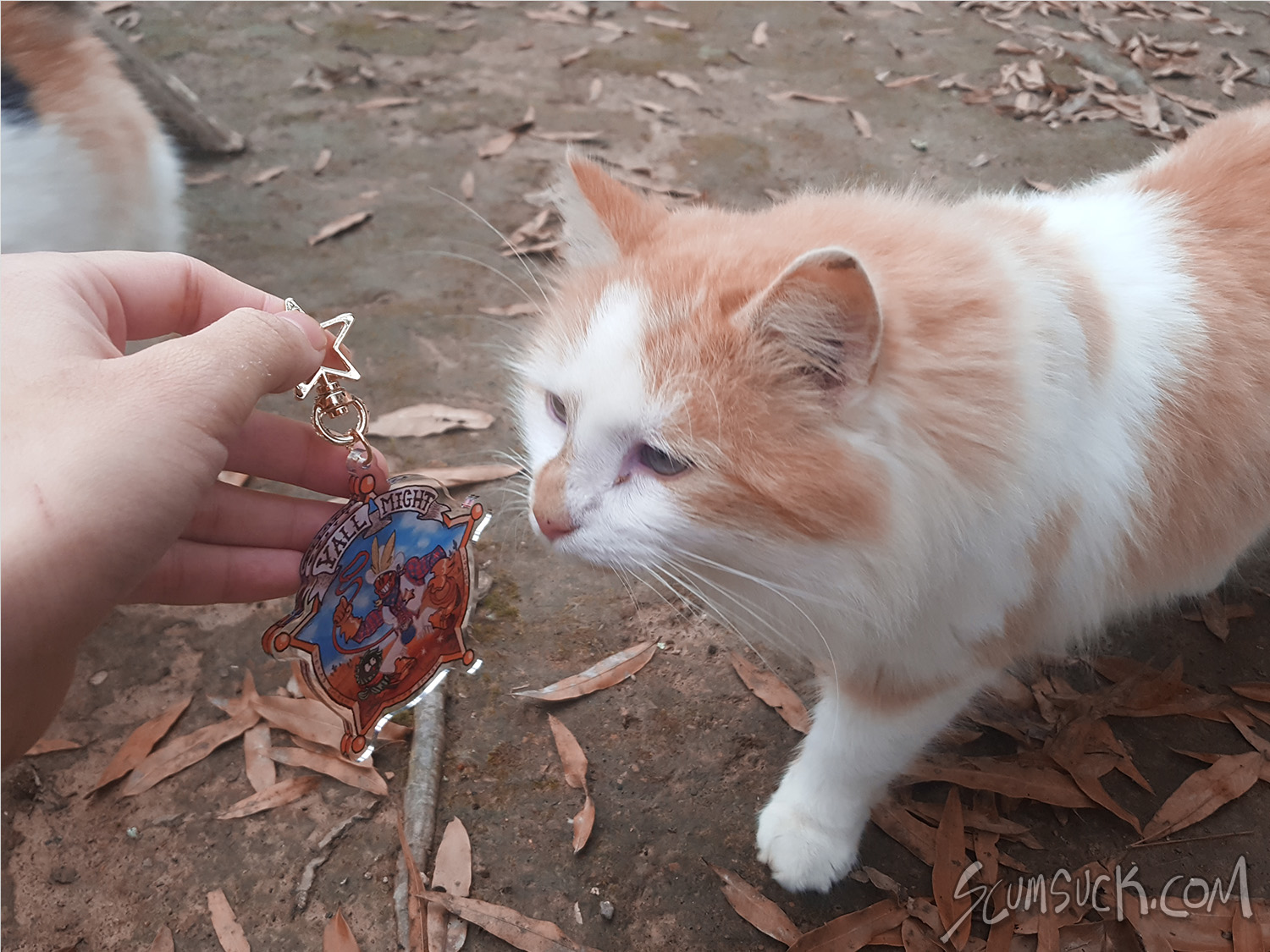 Charm: Hero Academy Y'all Might