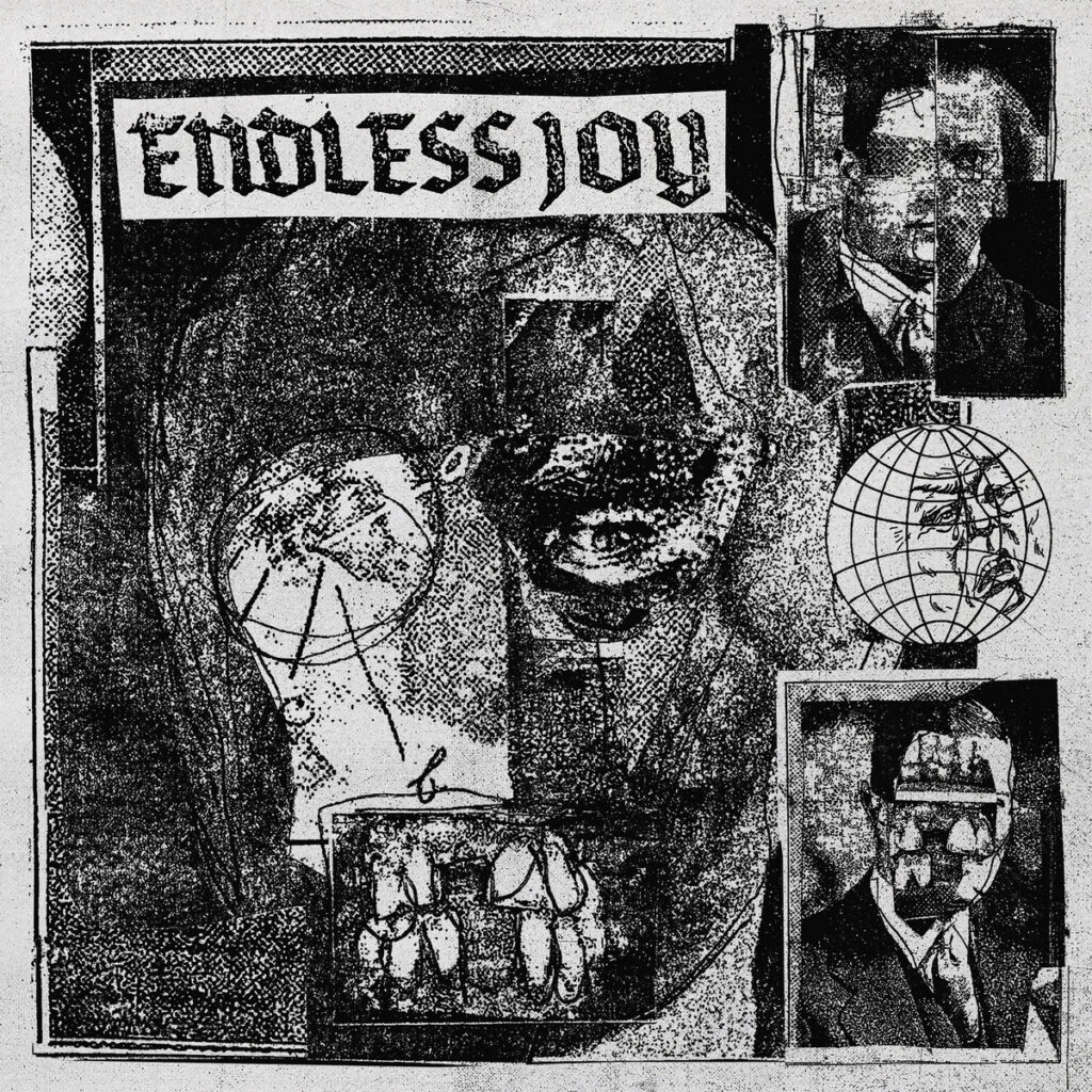 ENDLESS JOY - s/t LP