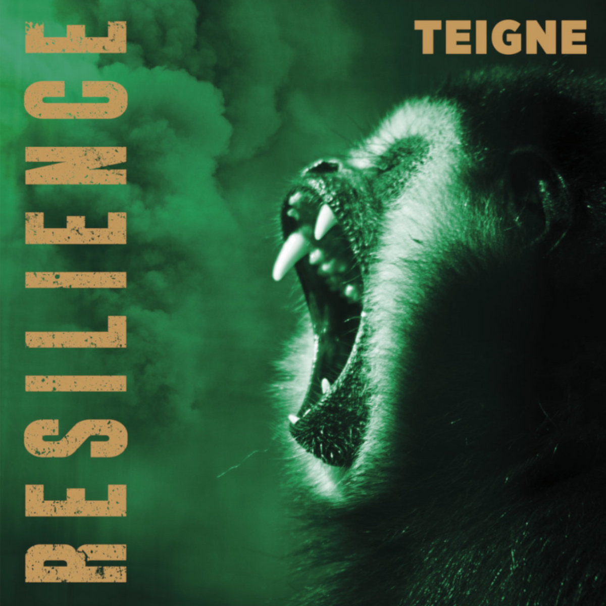 TEIGNE - Resilience /// LP 12