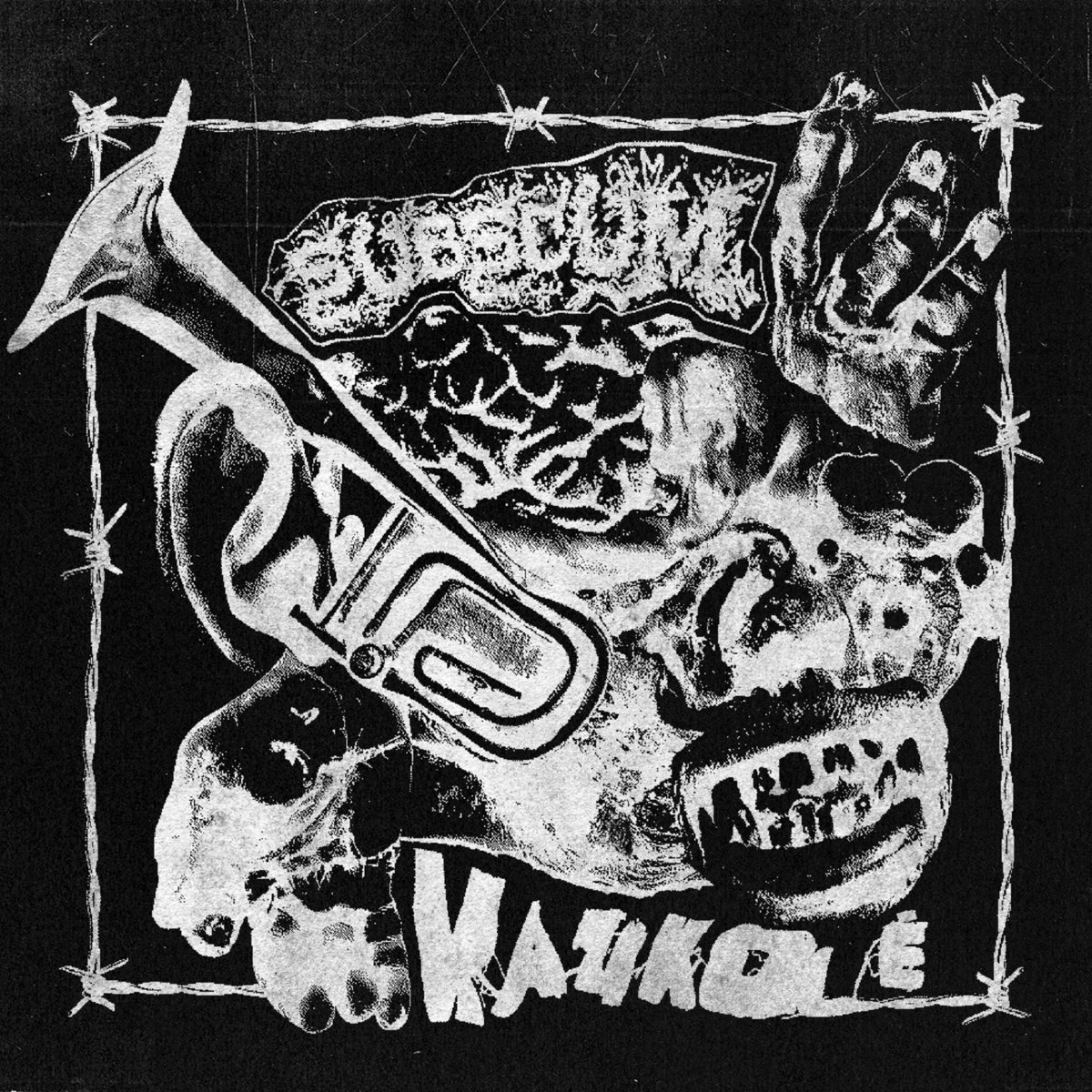 NN 236 Subscum / Kaukole - split (7