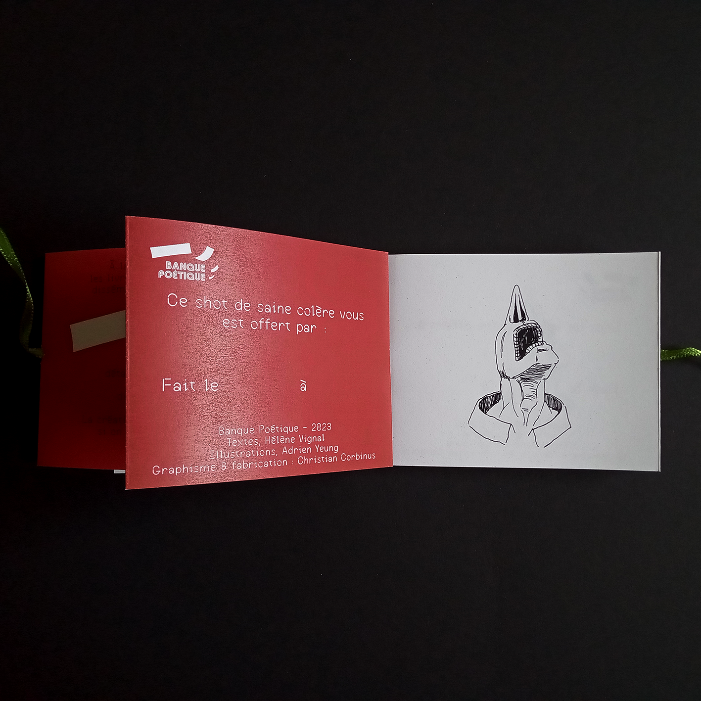 30 SHOTS DE SAINE COLERE