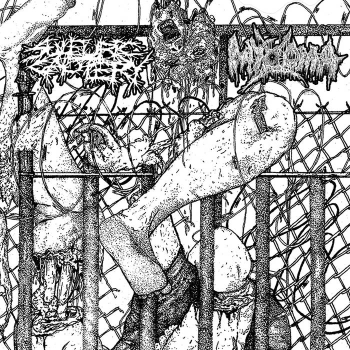 SULFURIC CAUTERY/MYXOMA - split 7