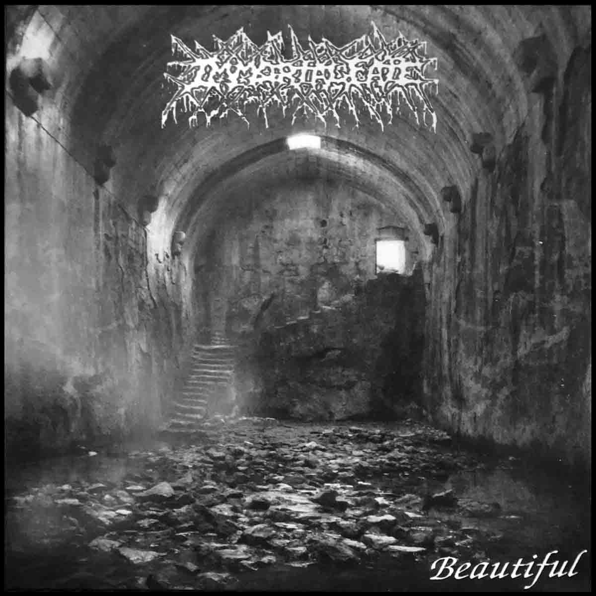 IMMORTAL FATE - Beautiful LP