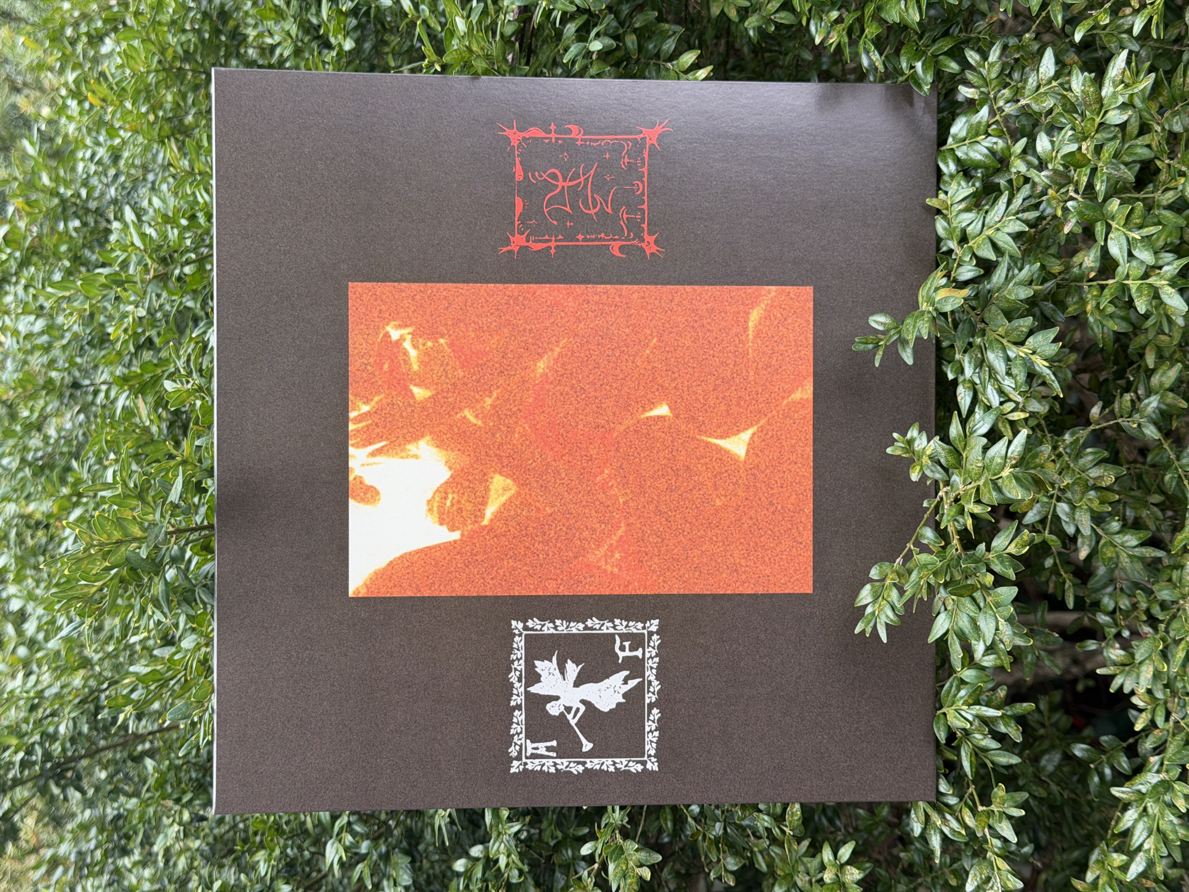 Trhä & Acheulean Forests / Die Macht der Feenflamme LP