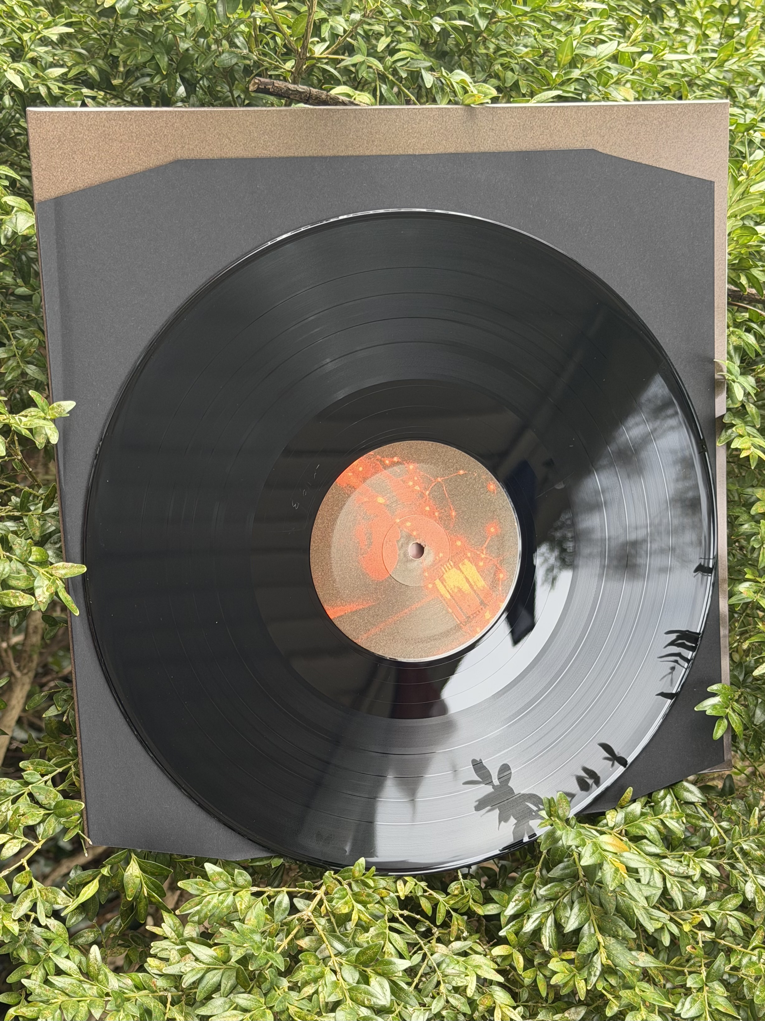 Trhä & Acheulean Forests / Die Macht der Feenflamme LP