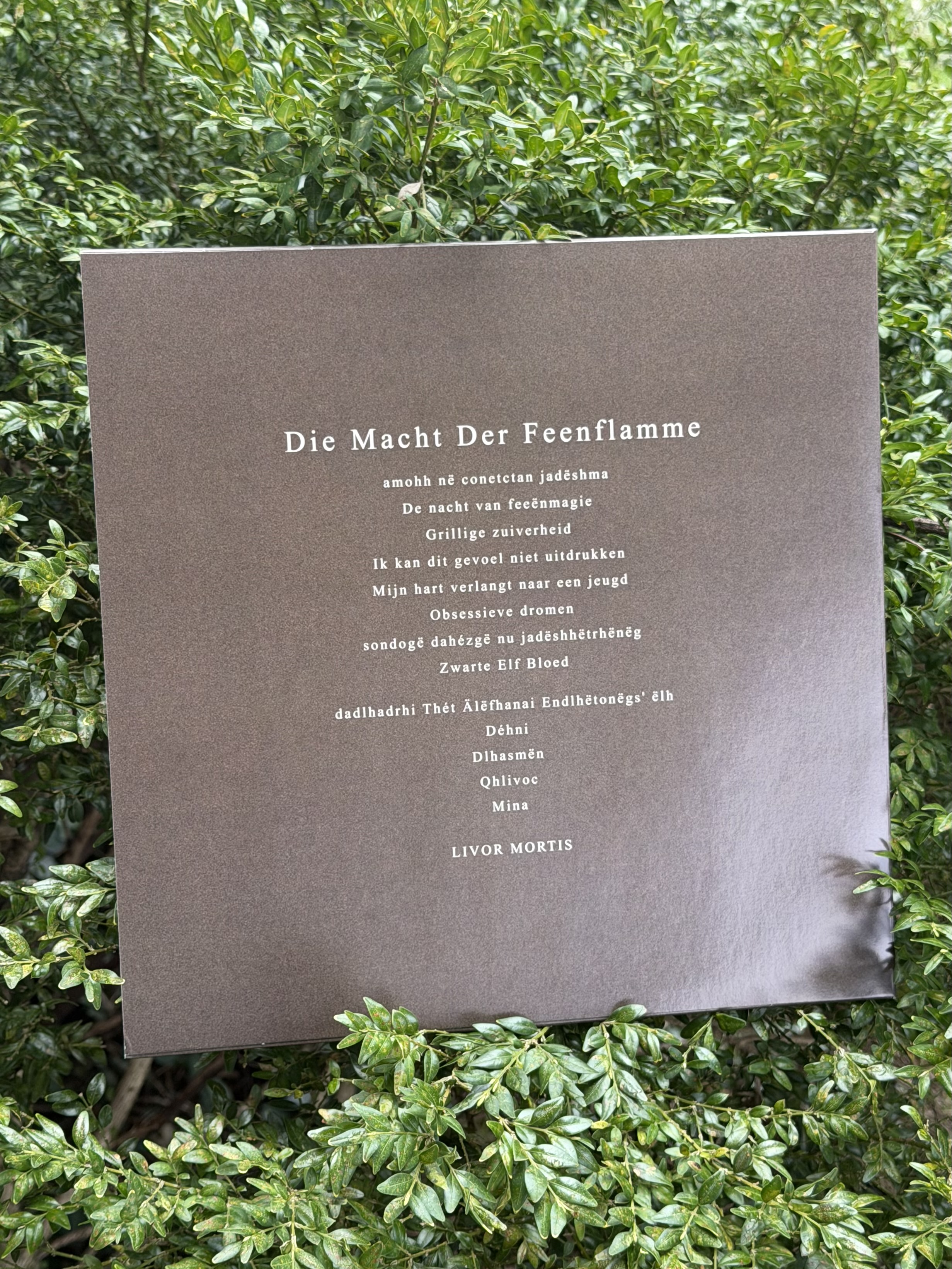 Trhä & Acheulean Forests / Die Macht der Feenflamme LP