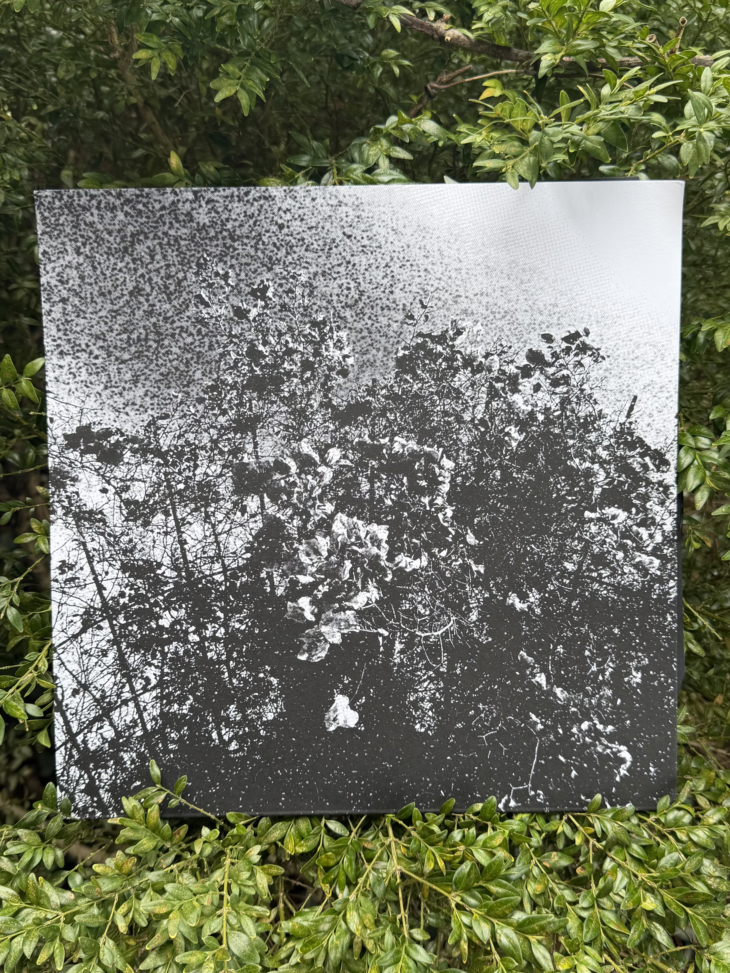 Trhä & Celestial Sword split LP