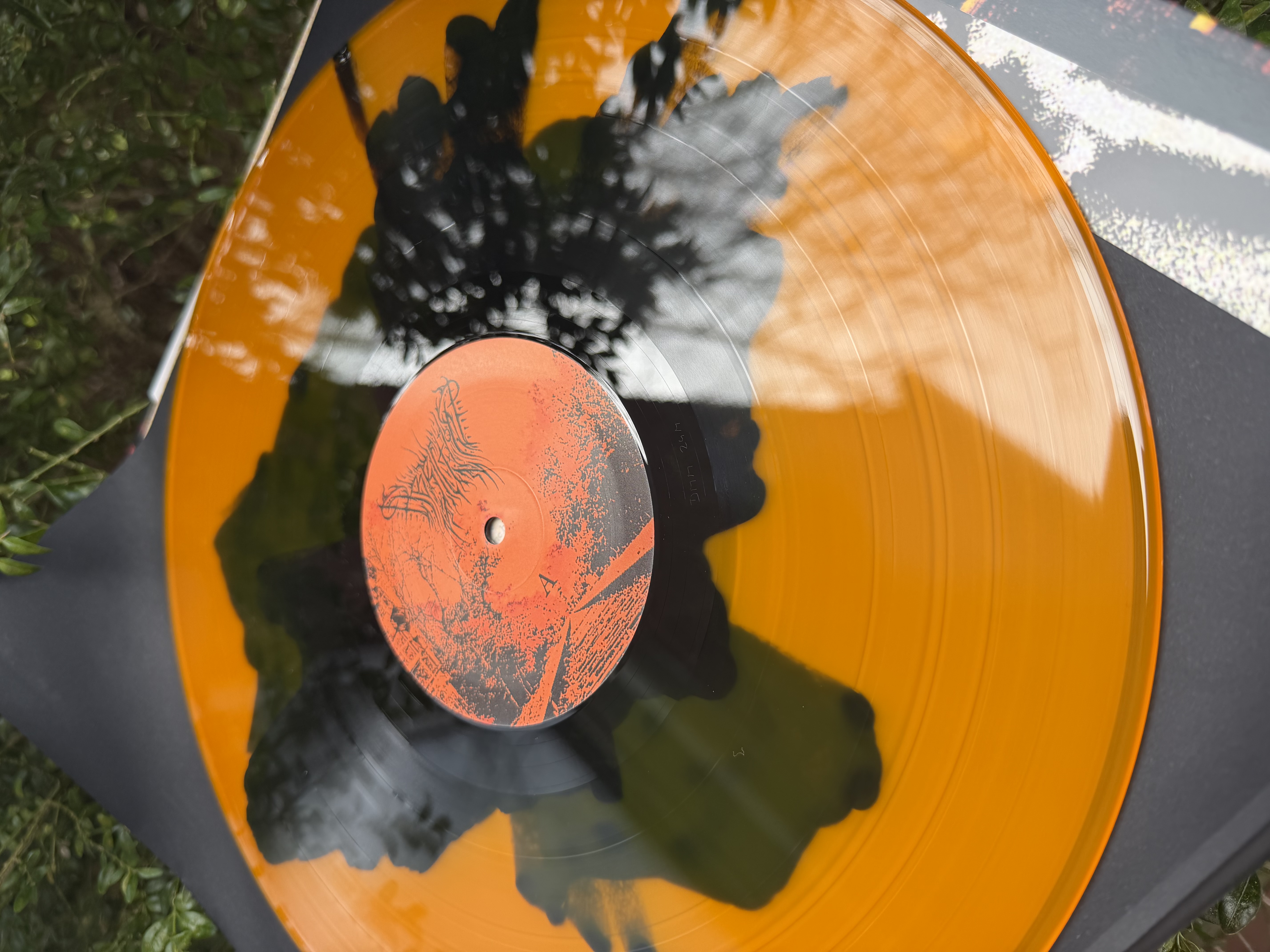 Abriction / Forbidden Bounds, LP