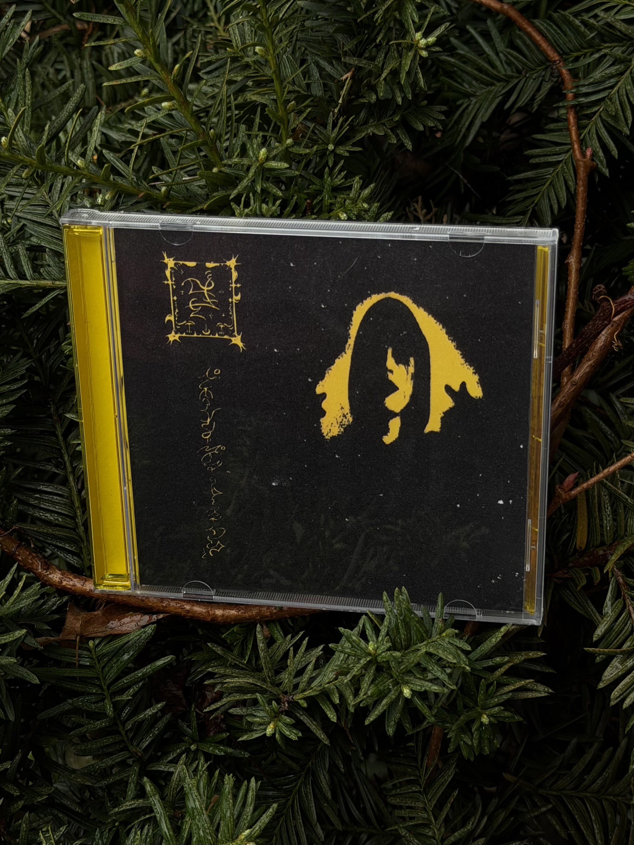 th100 Trhä / nêbamducel cánsë ulan da gunej