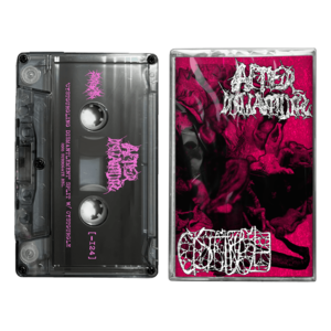 Afterdismantling / Cystgurgle 'Cystgurgling Dismantlement (Split)' Cassette