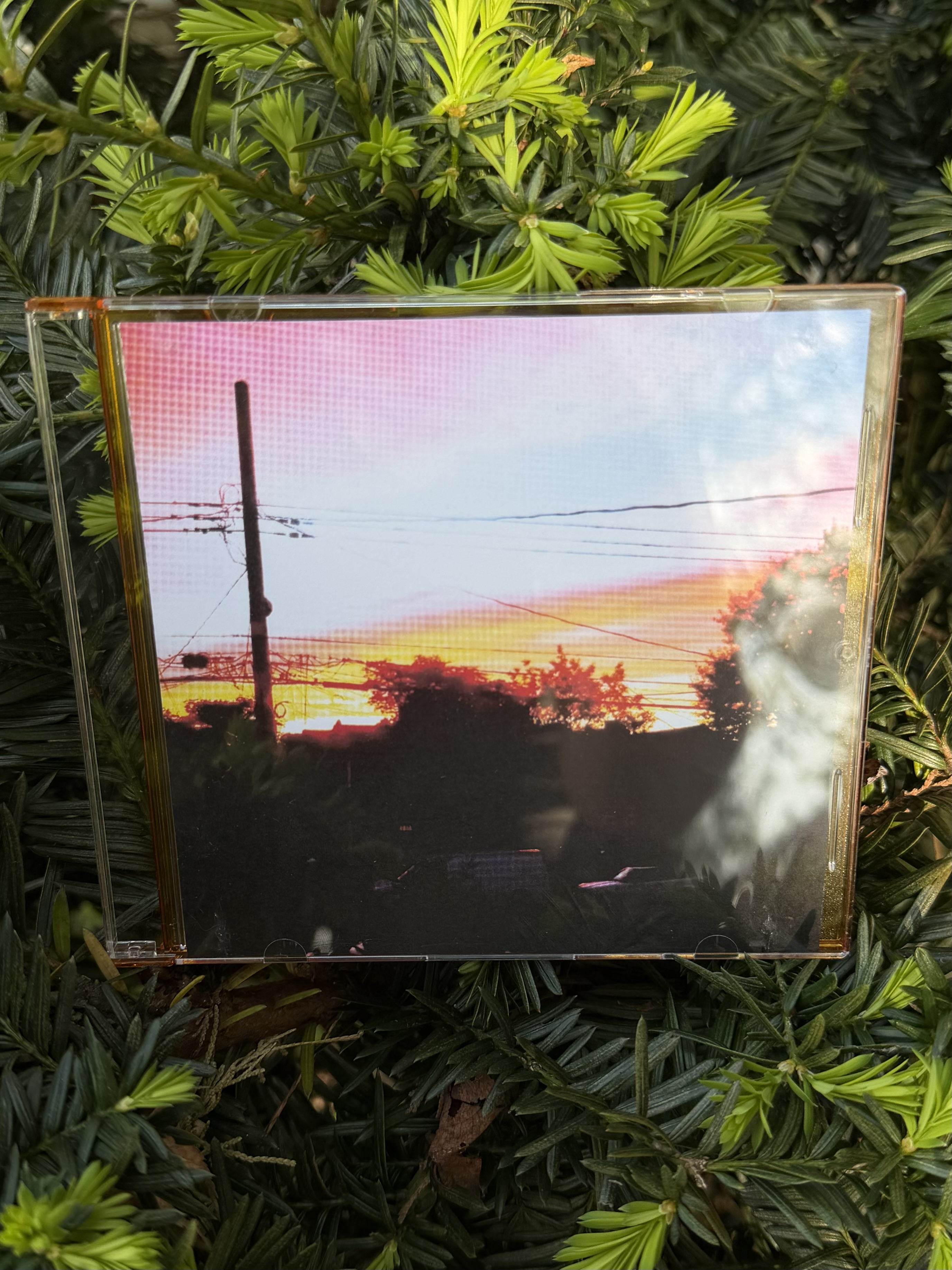 abriction / I had a dream I crashed my Dad's jeep on the Bronx river parkway CD slim