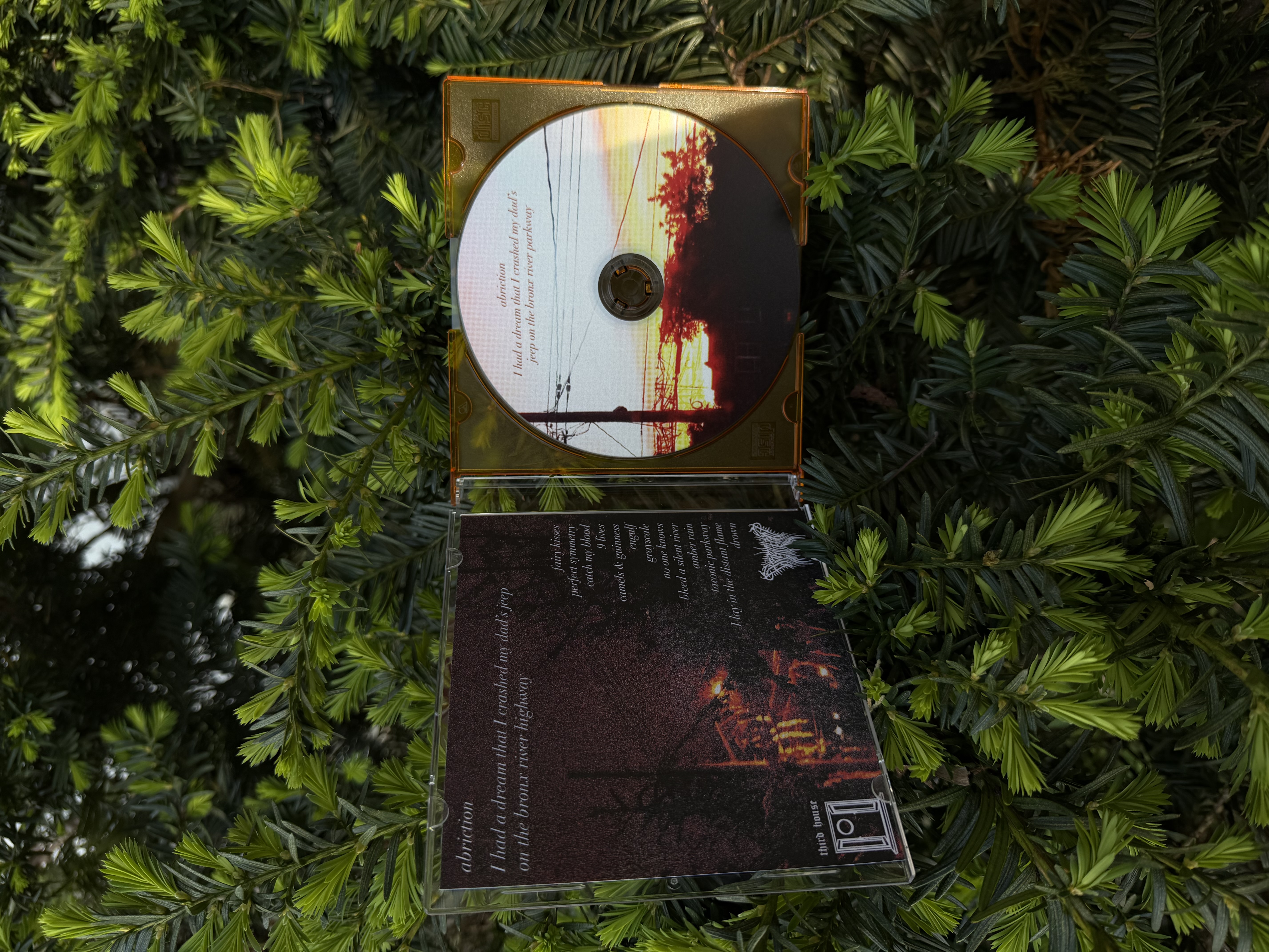abriction / I had a dream I crashed my Dad's jeep on the Bronx river parkway CD slim