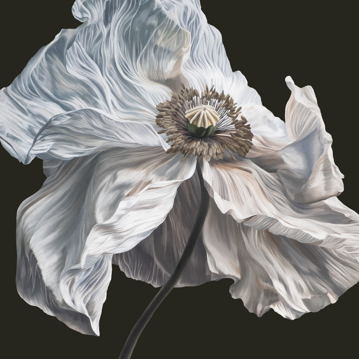 Quicksand 'Bring on the physics' LP