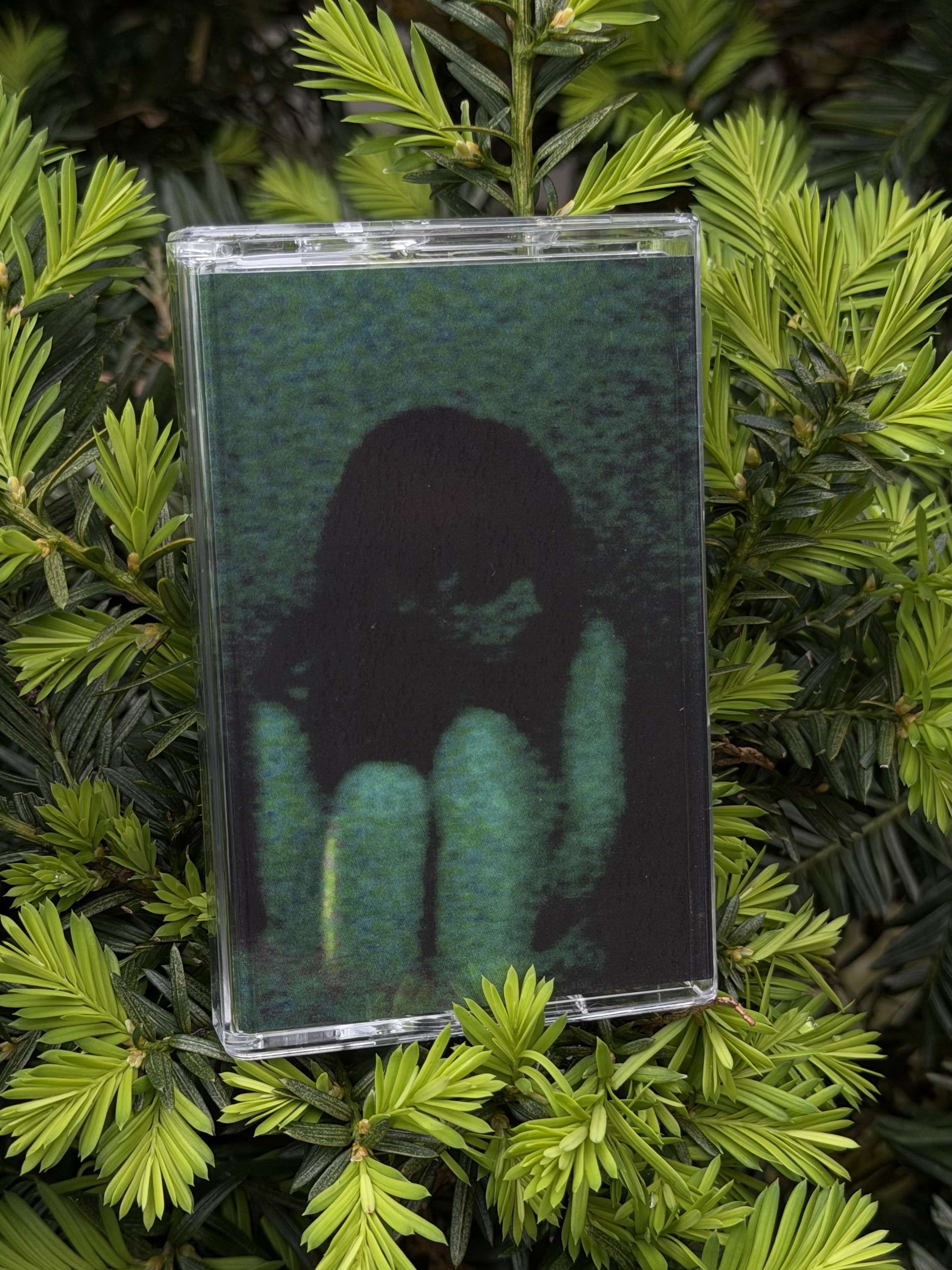 abriction / sanguinolenta TAPE