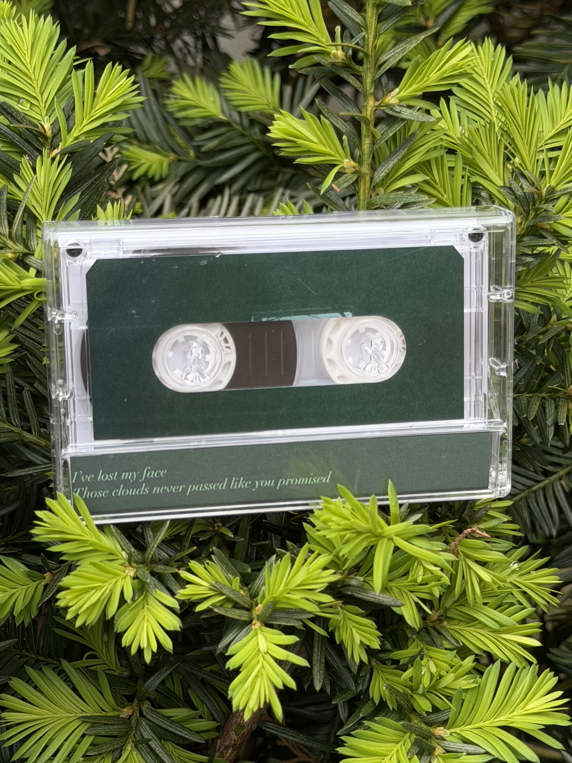 abriction / sanguinolenta TAPE