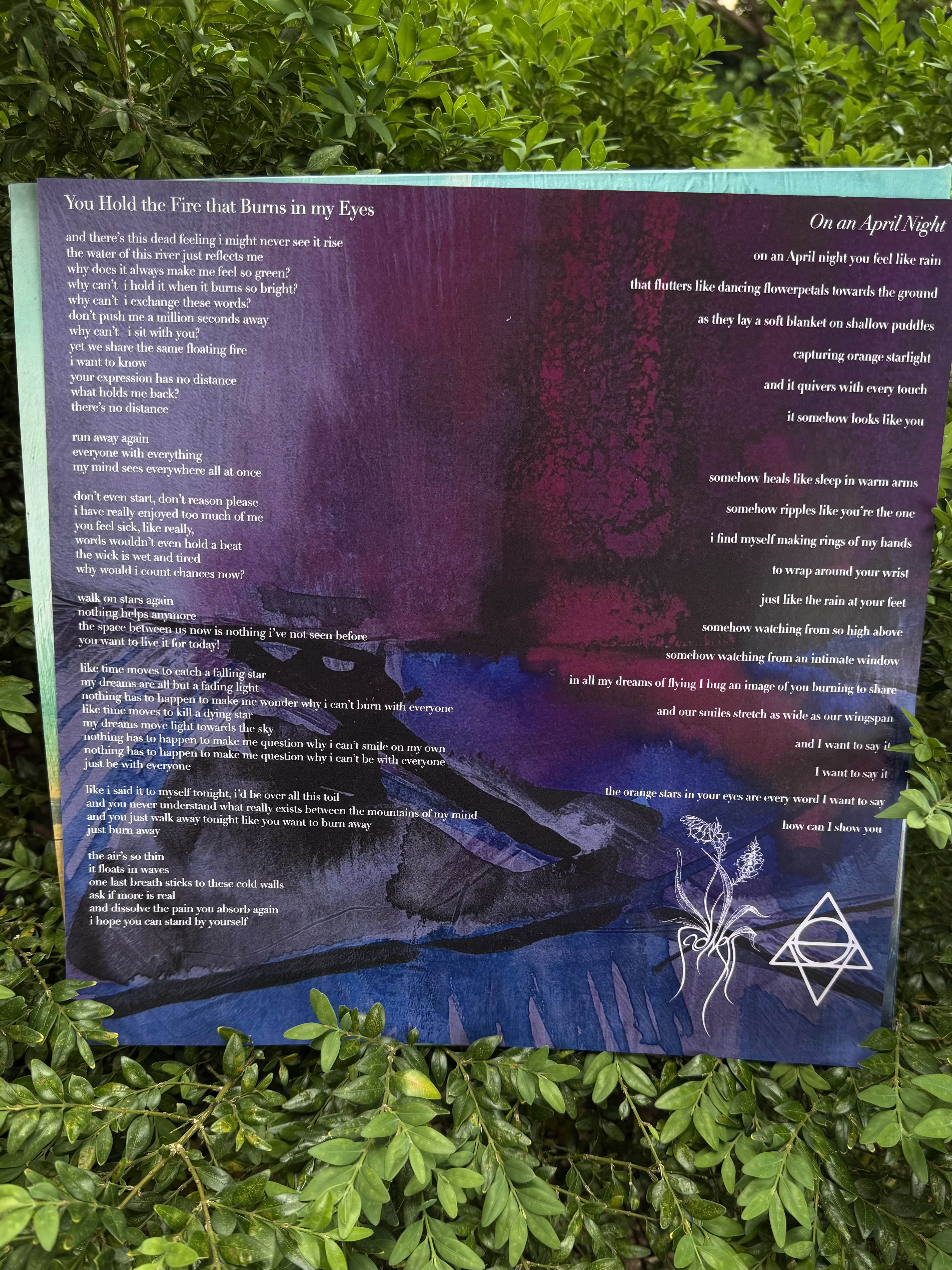 Lux/Sadness - Dusk Garden 12