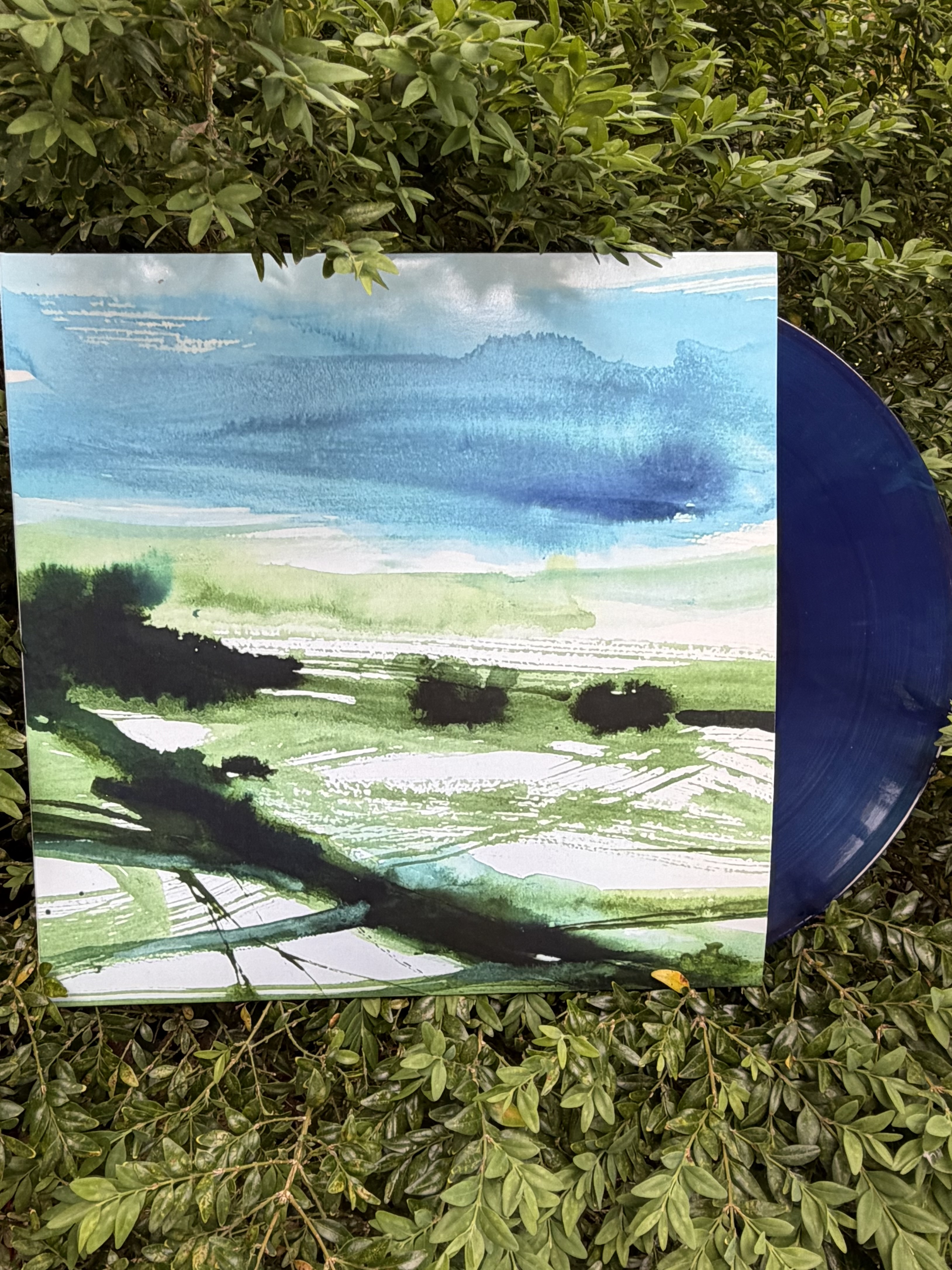 Lux/Sadness - Dusk Garden 12