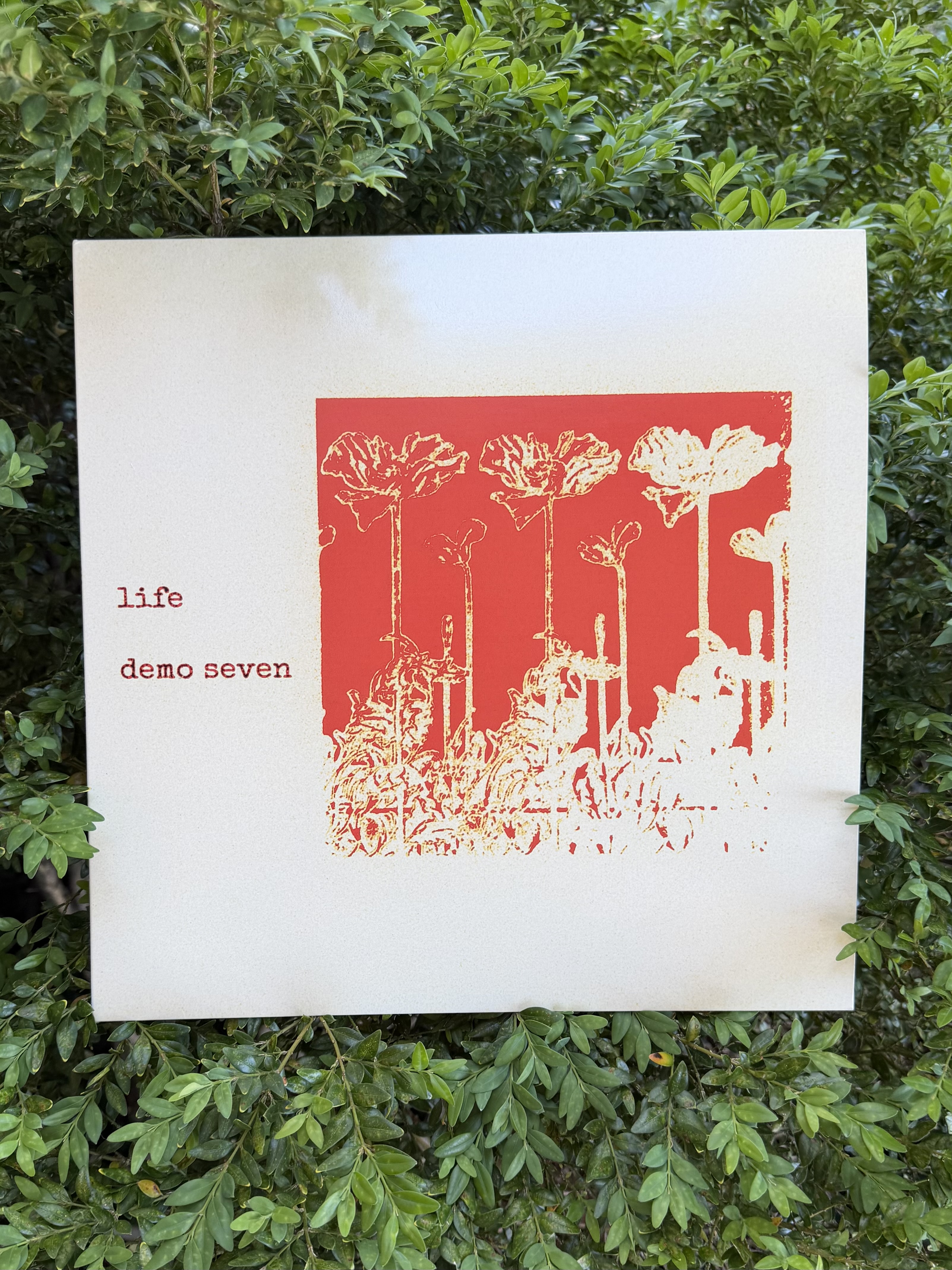 life / demo seven & demo eight 12