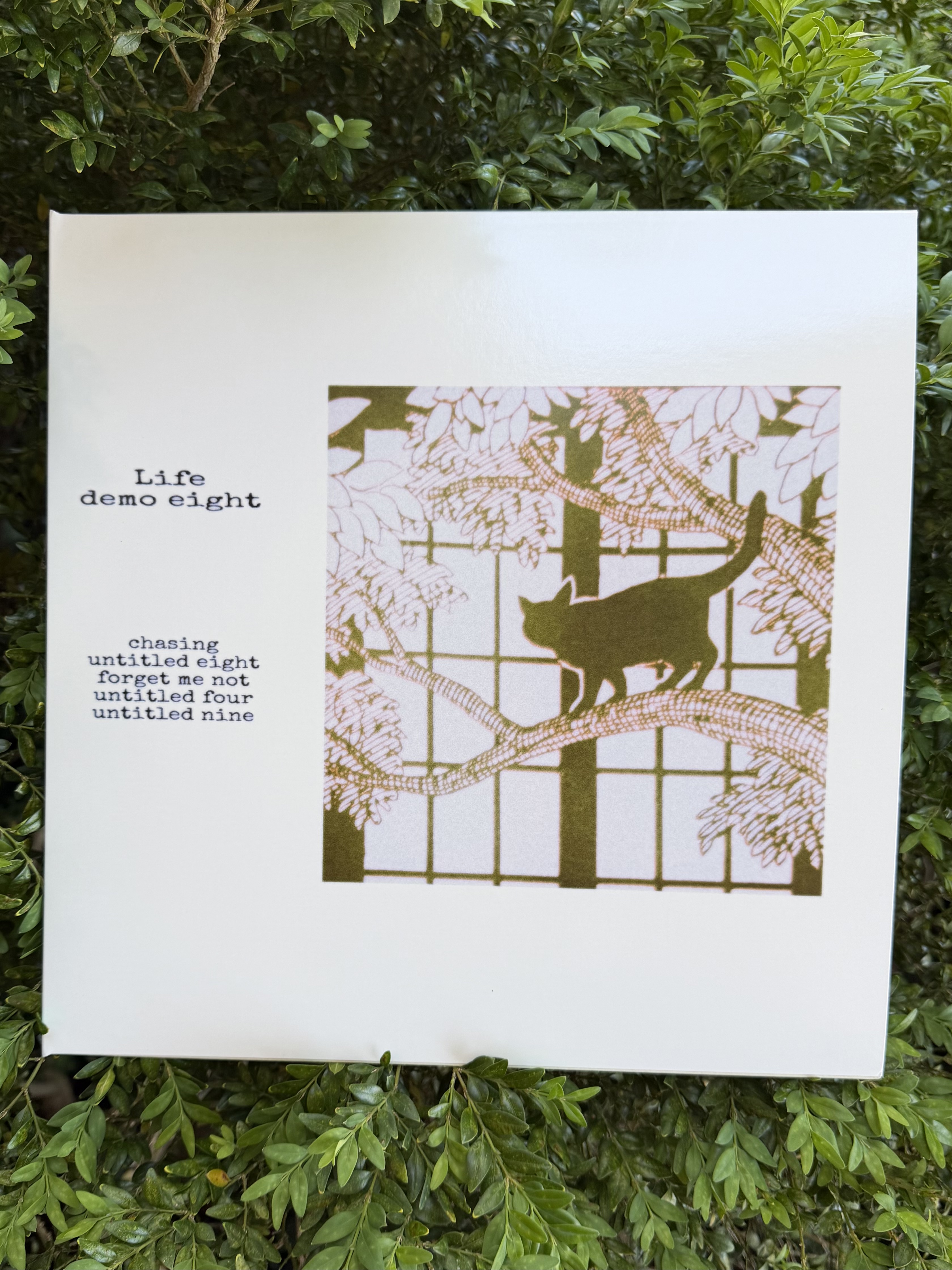 life / demo seven & demo eight 12