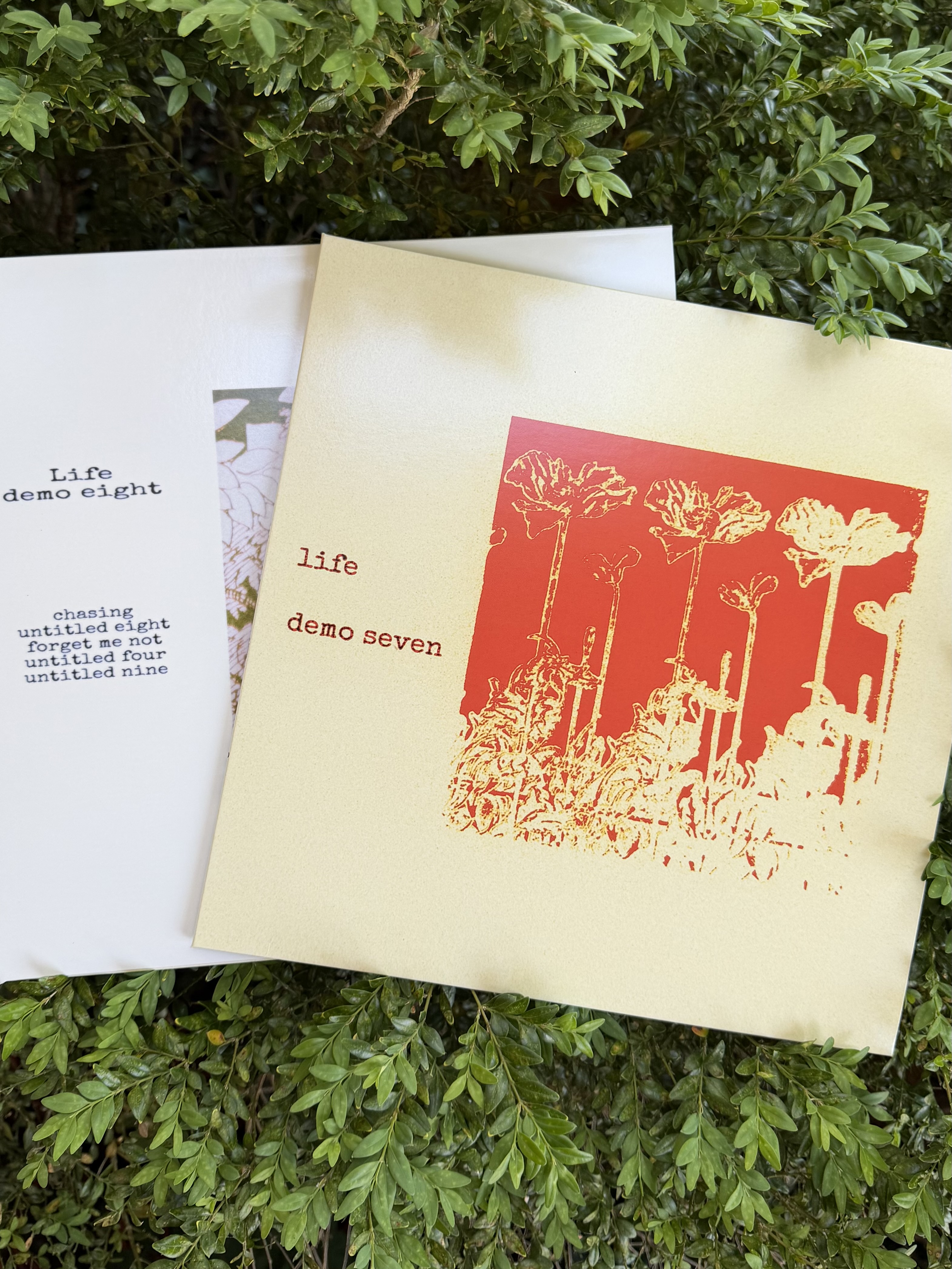 life / demo seven & demo eight 12