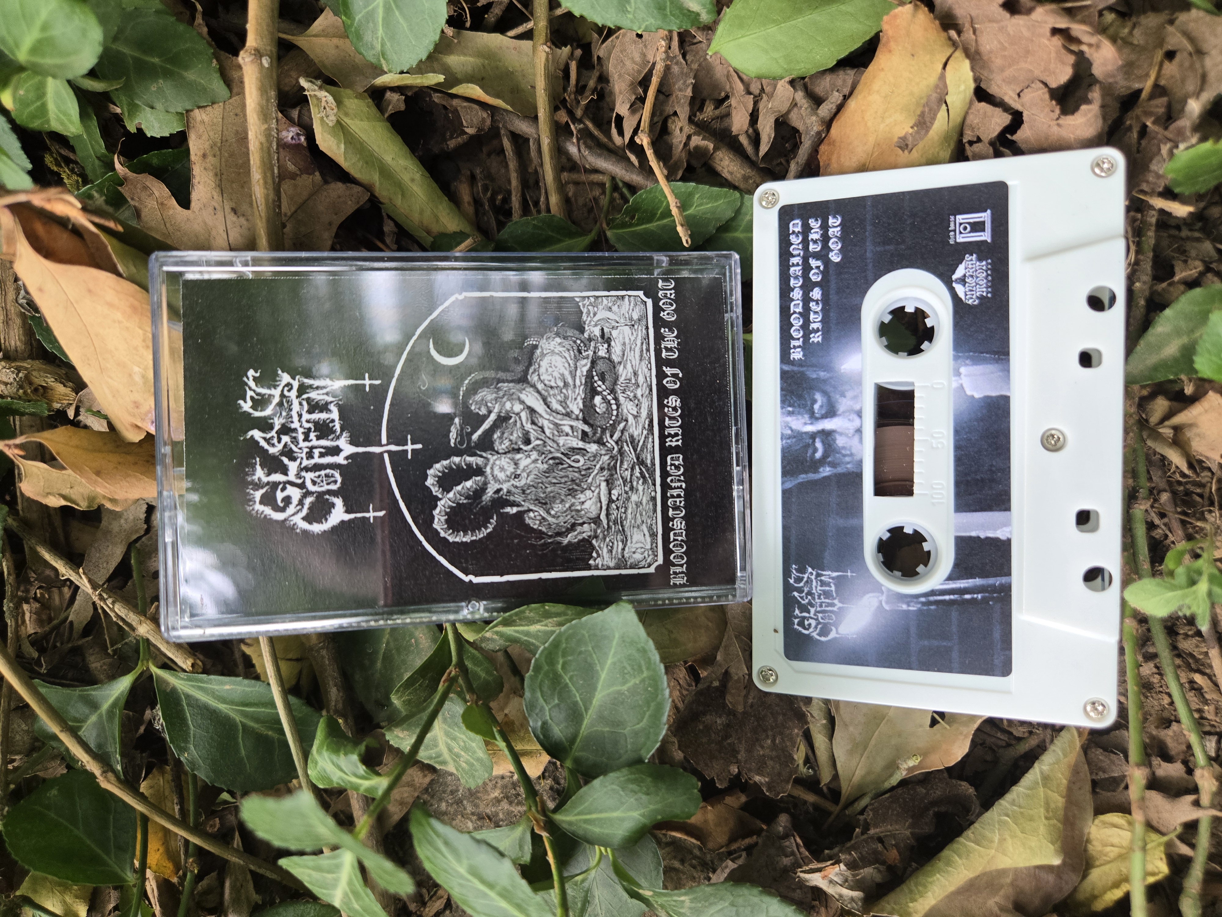 th82 Glass Coffin / Bloodstained Rites of the Goat