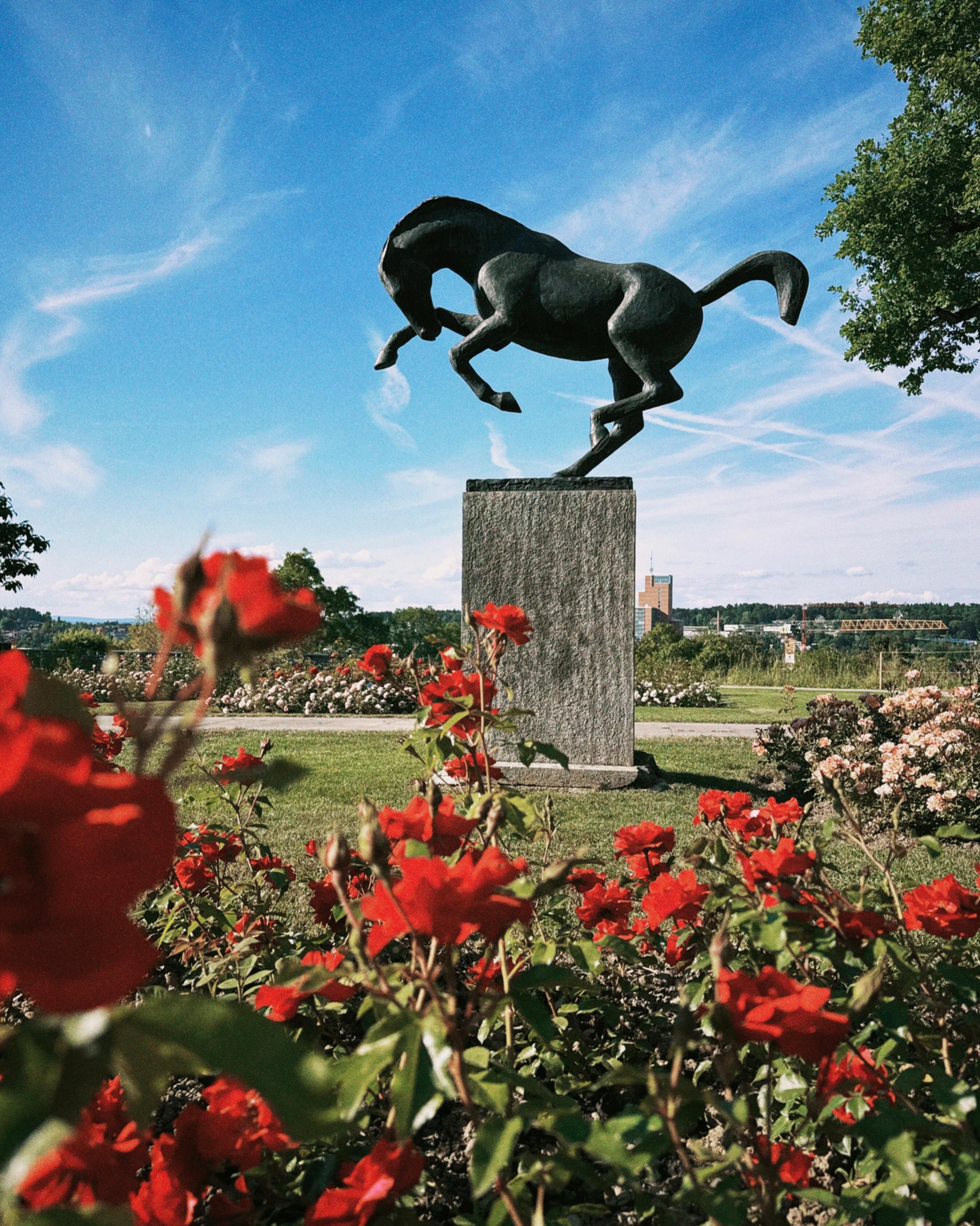 Rosengarten