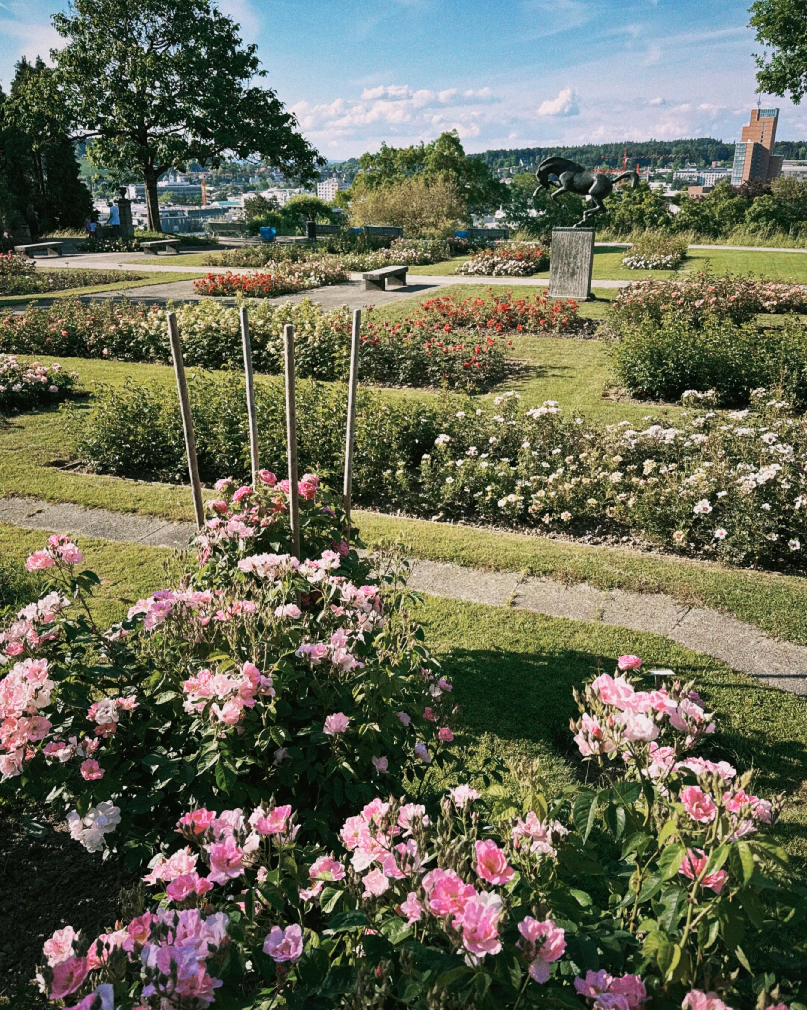 Rosengarten