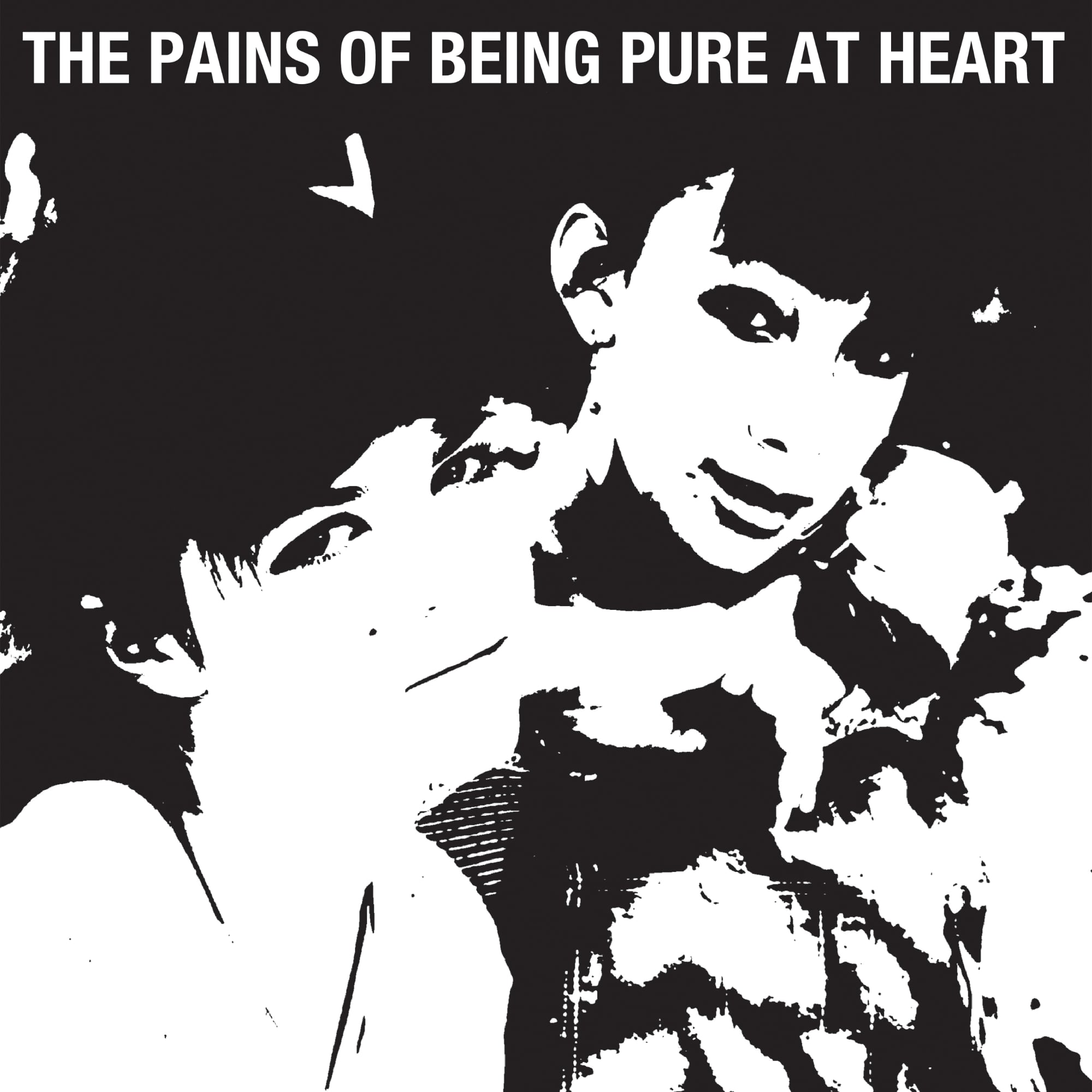 The Pains of Being Pure At Heart 