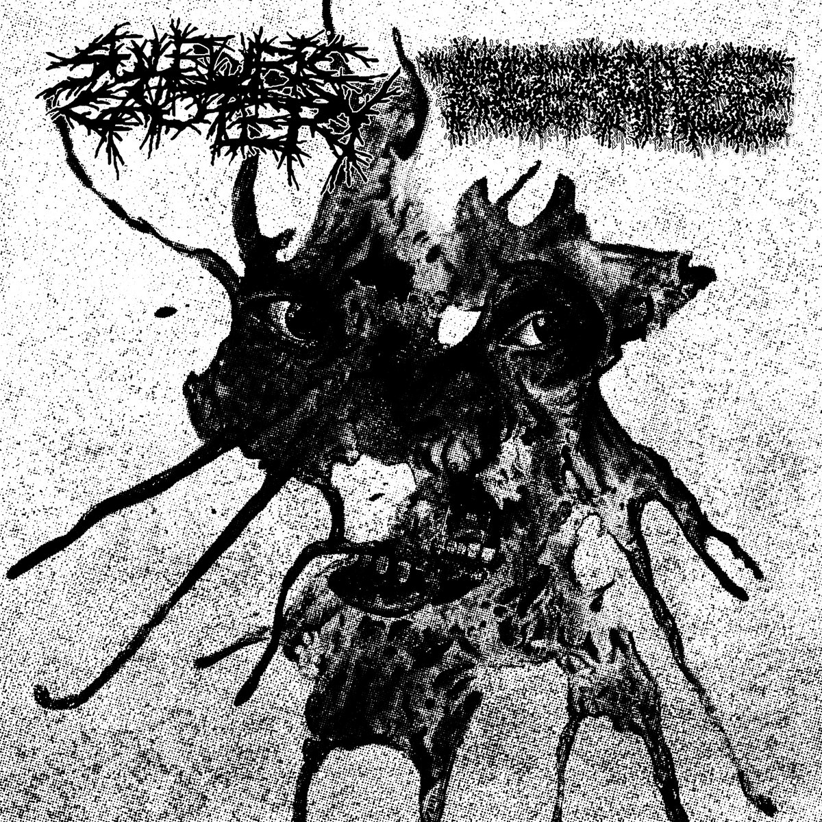 SULFURIC CAUTERY / TOLERANCE Split LP
