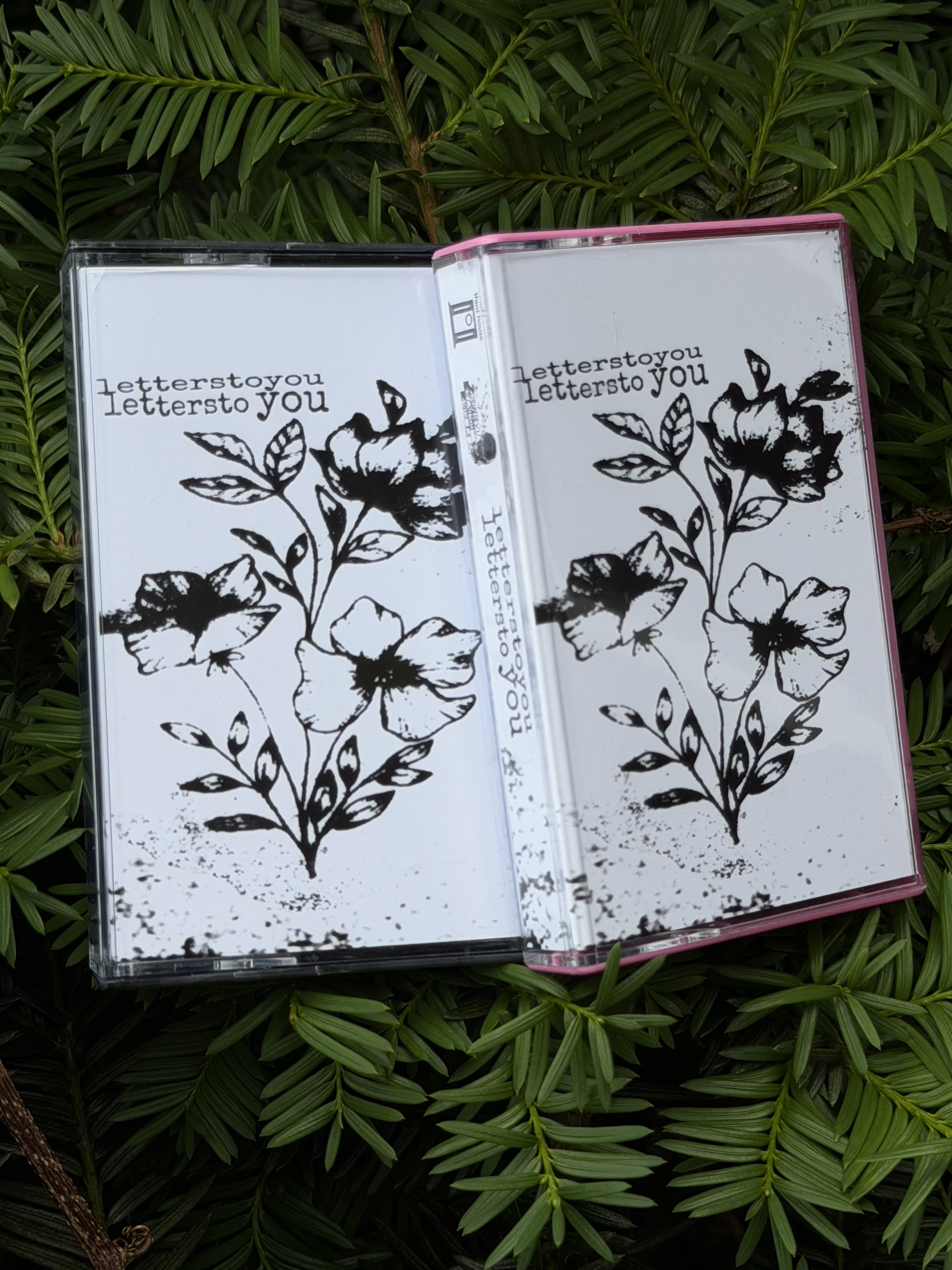 letterstoyou / shoebox of letterstoyou