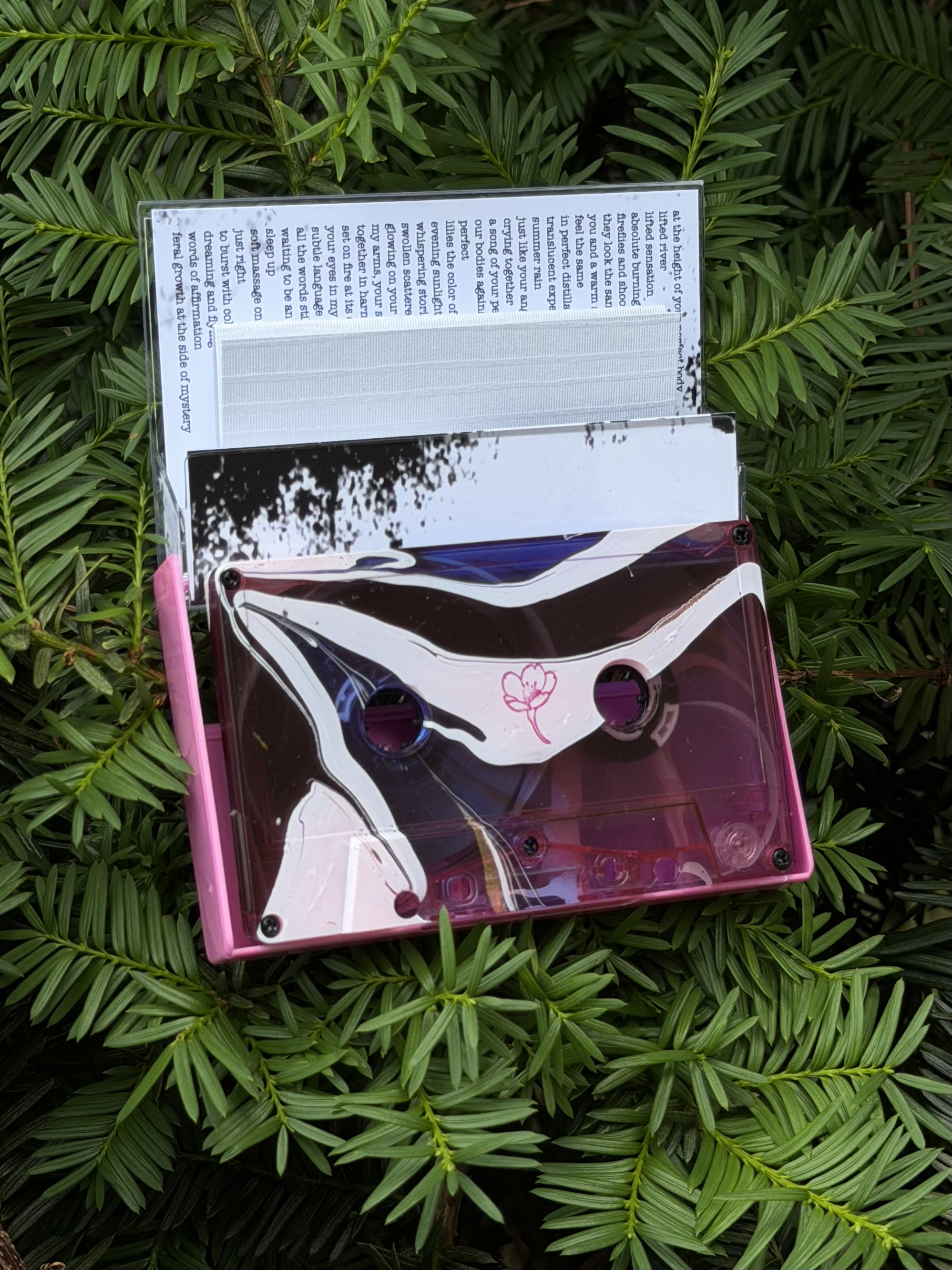 letterstoyou / shoebox of letterstoyou