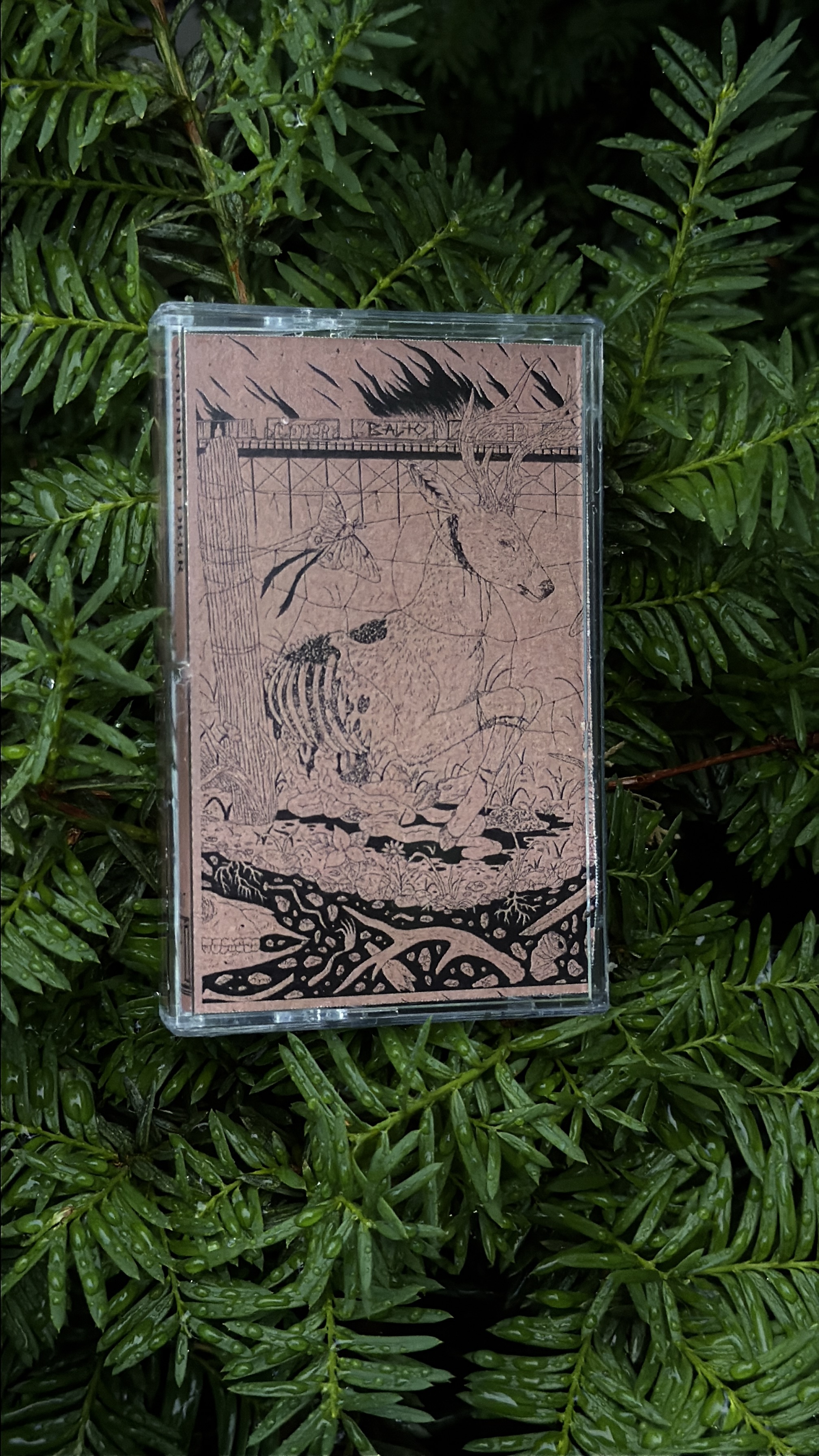th107 Wounded Deer / I see you in everything