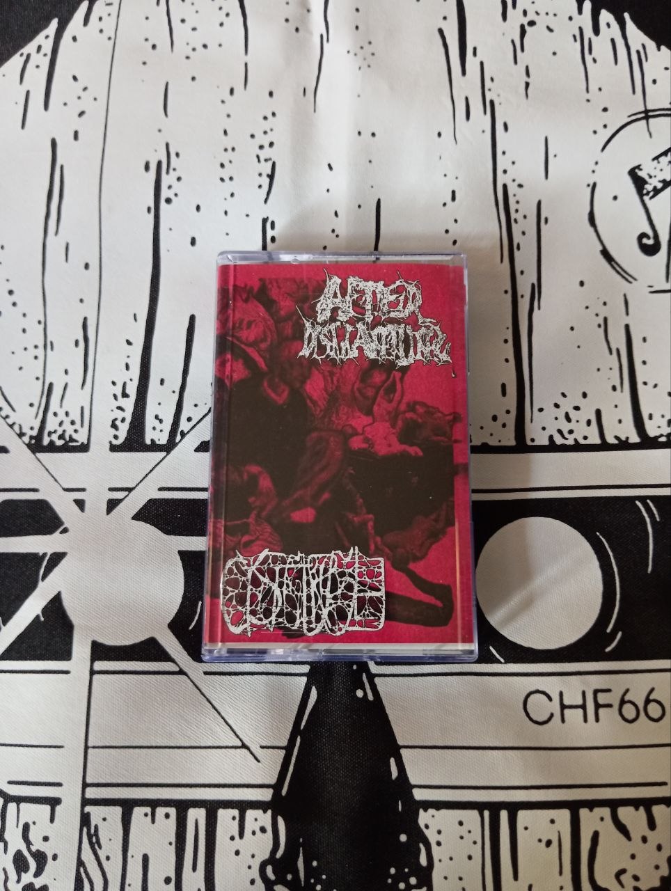 AfterDismantling / Cystgurgle - Cystgurgling Dismantlement (cs, 2026)