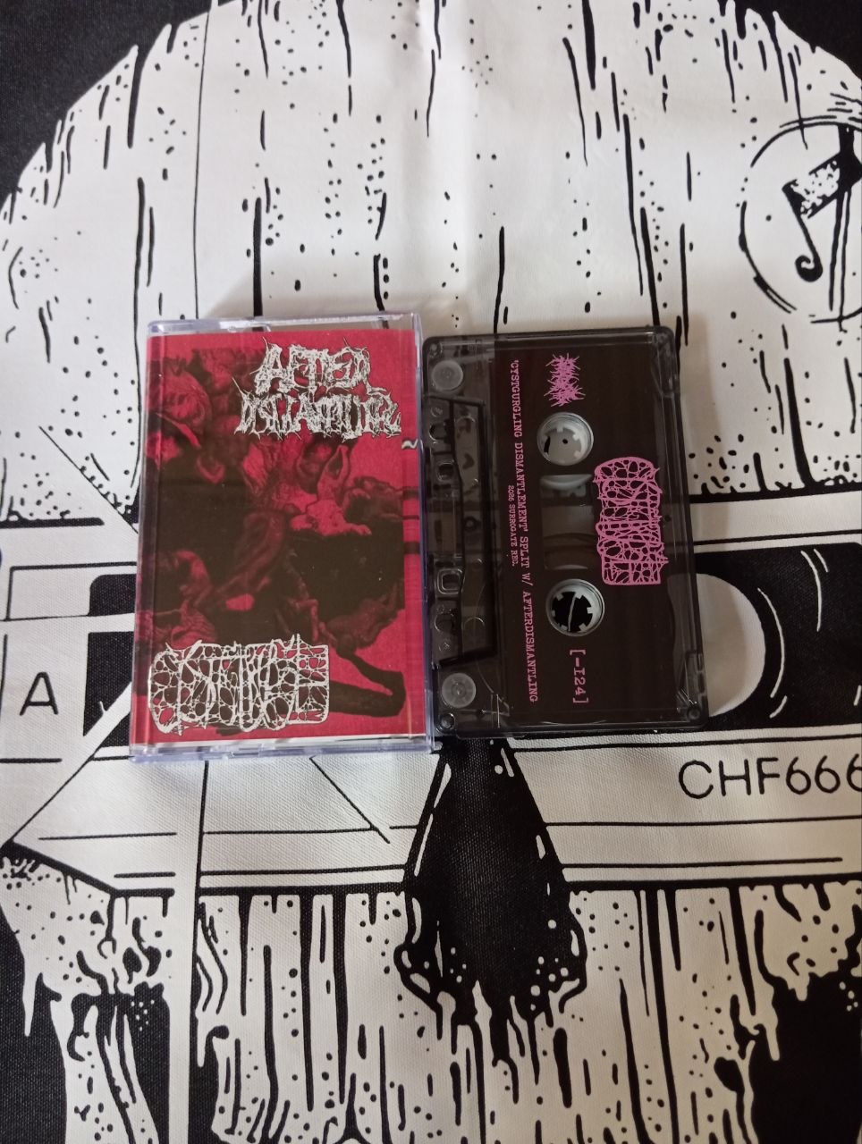 AfterDismantling / Cystgurgle - Cystgurgling Dismantlement (cs, 2026)