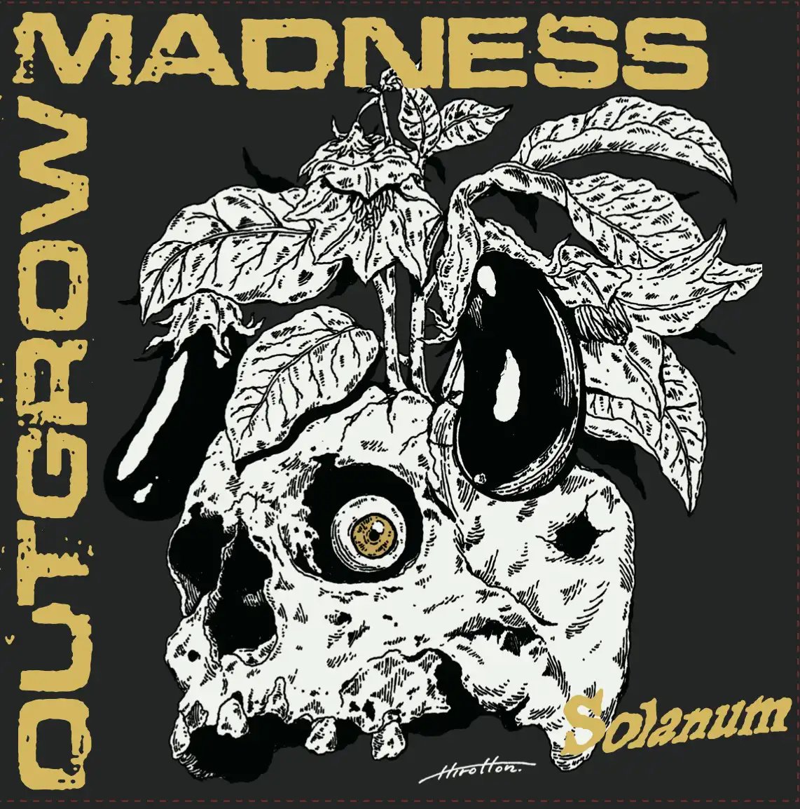 Outgrow Madness - Solanum 7