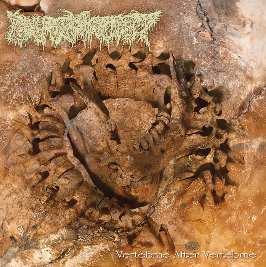PHARMACIST - Vertebrae After Vertebrae