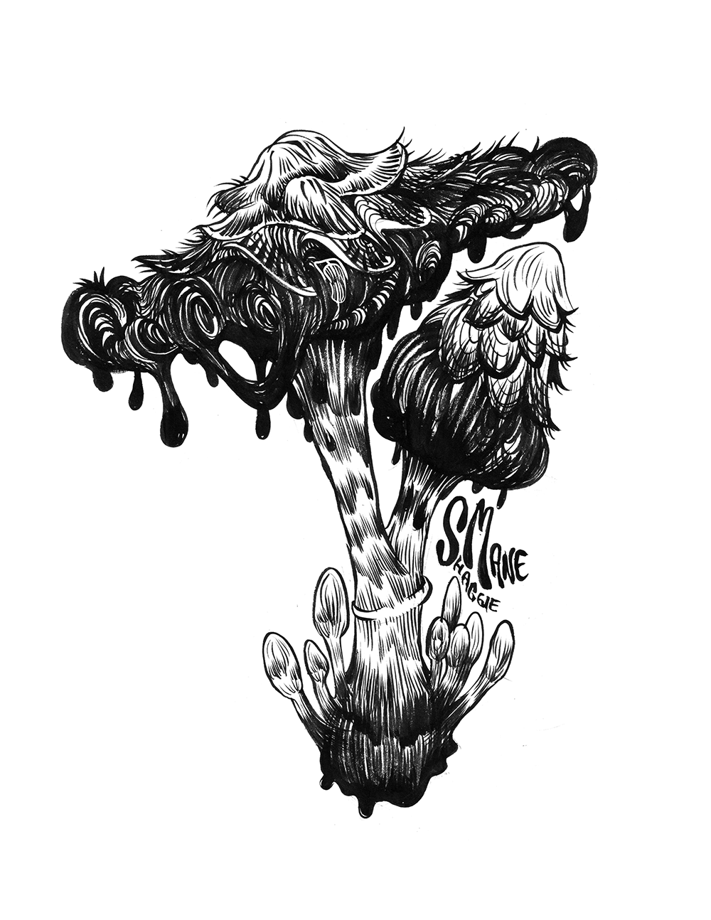 Prints: Shaggy Mane Mushrrom (4x6) (8.5x11)
