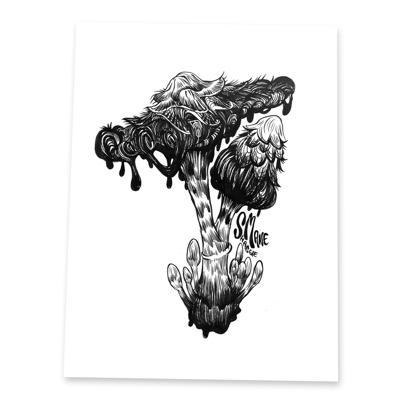 Prints: Shaggy Mane Mushrrom (4x6) (8.5x11)