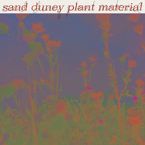 SAND DUNEY- Plant Material