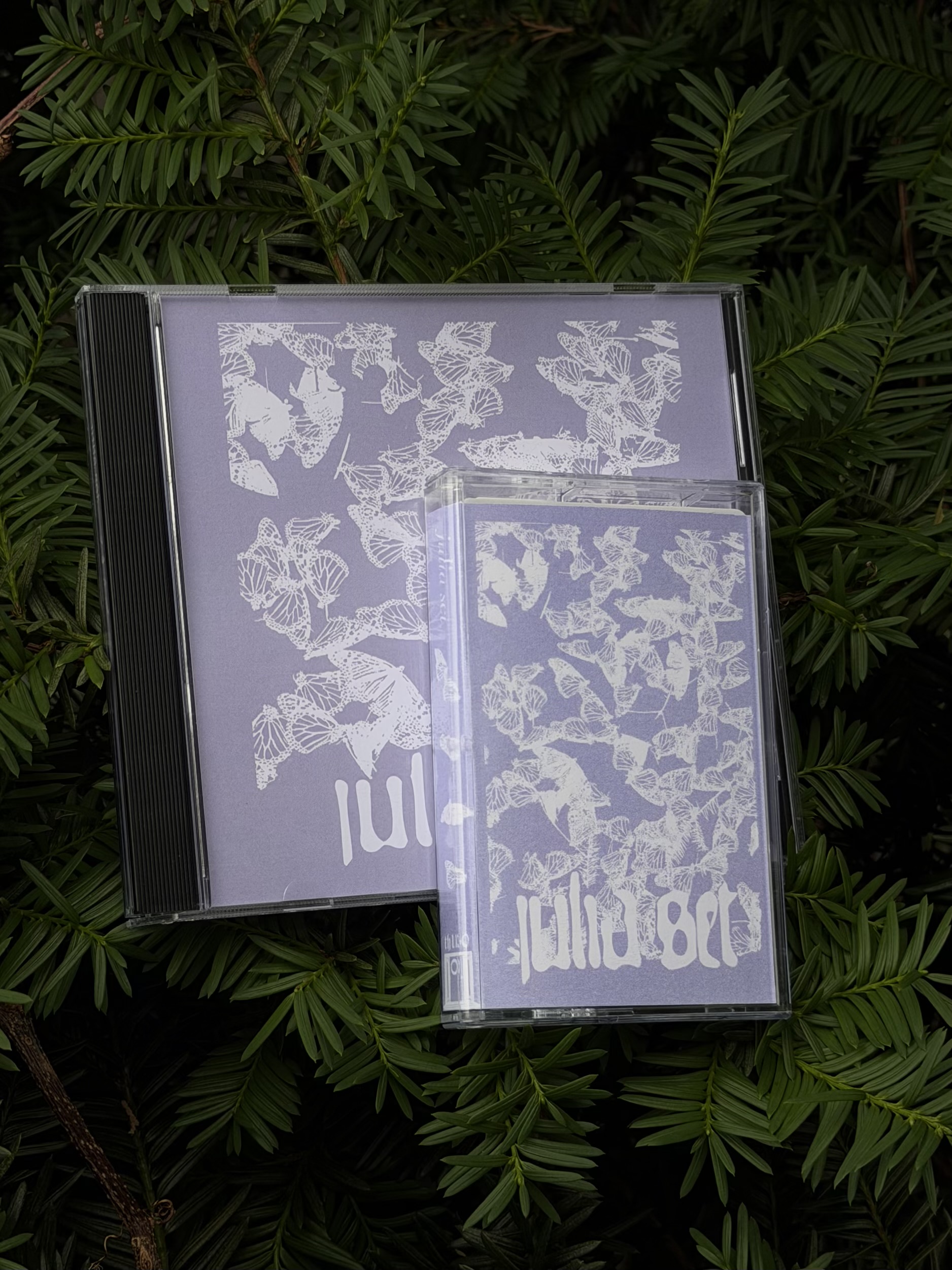 th110 Julia Set / Julia Set