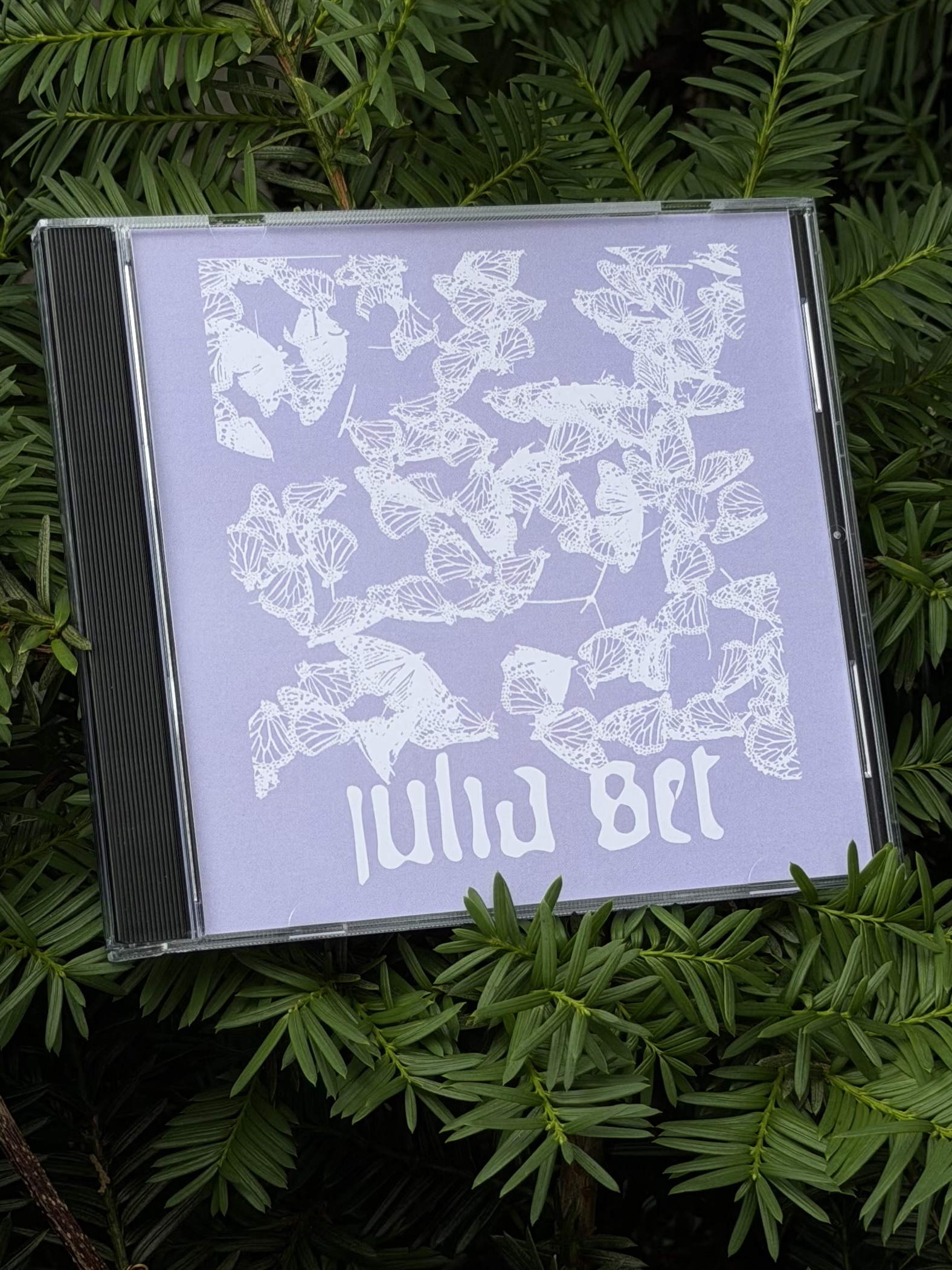 th110 Julia Set / Julia Set