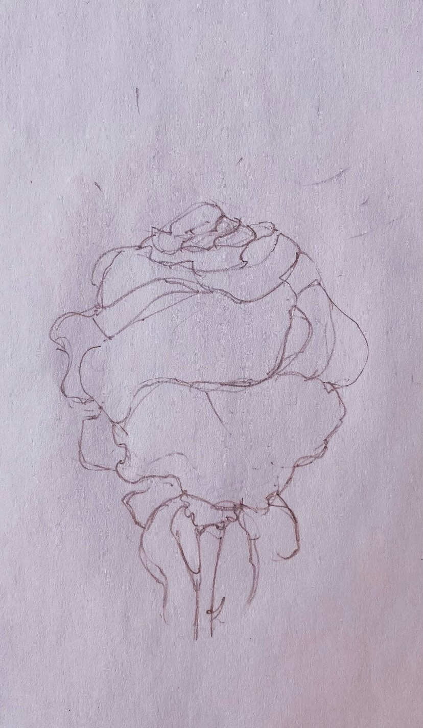 Flora II