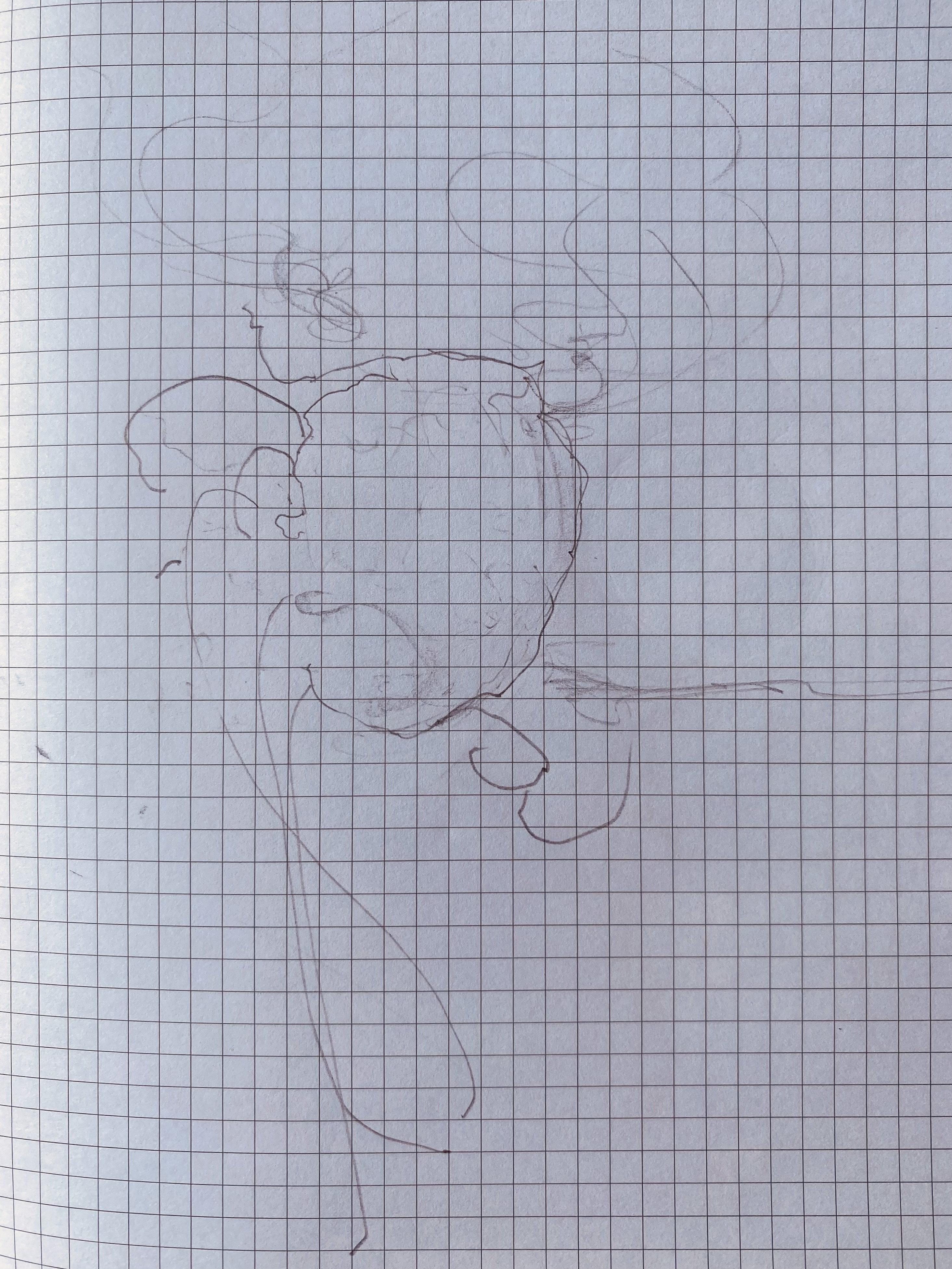 Flora III
